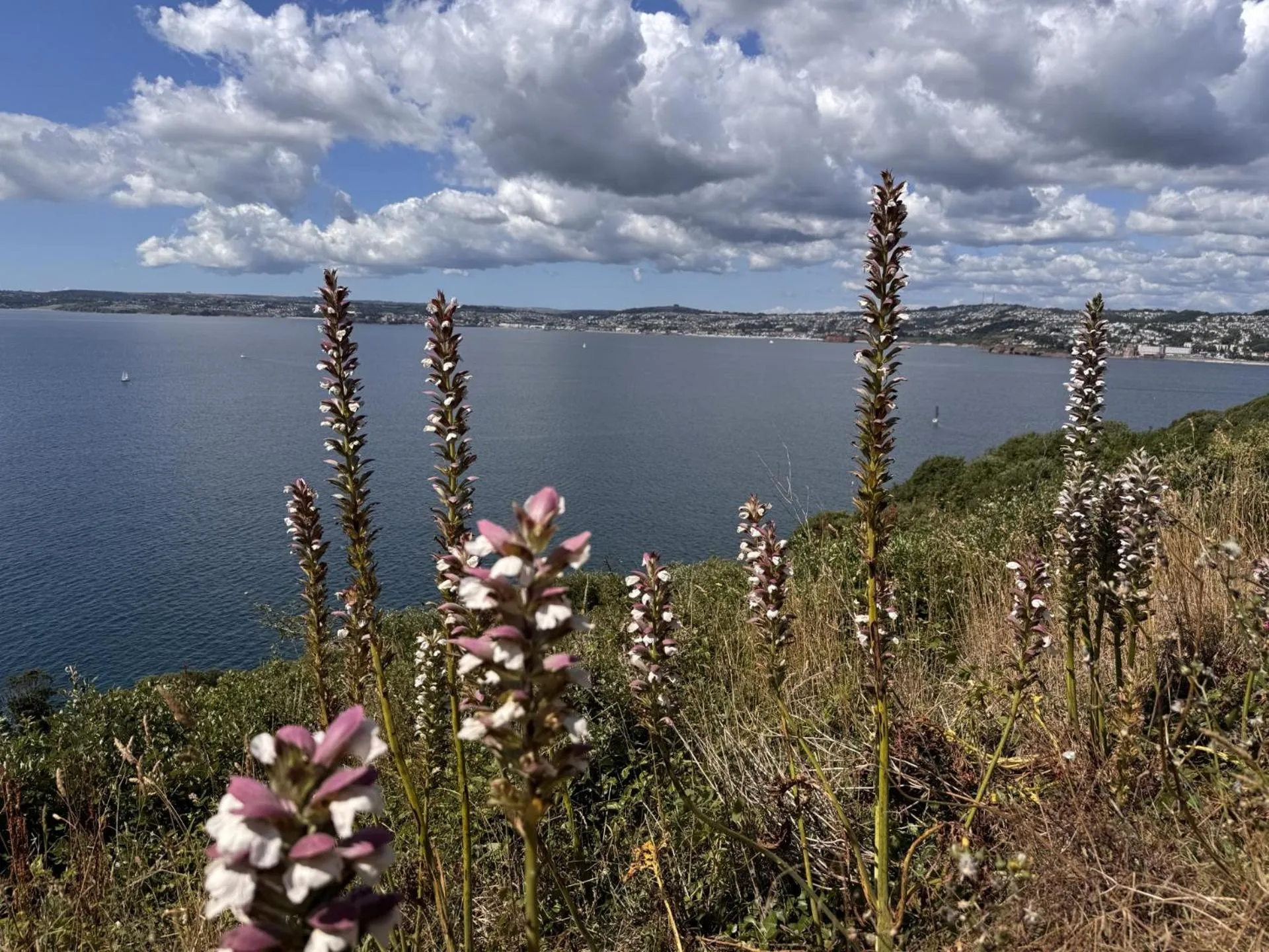 Nearby landmark in The Shirley