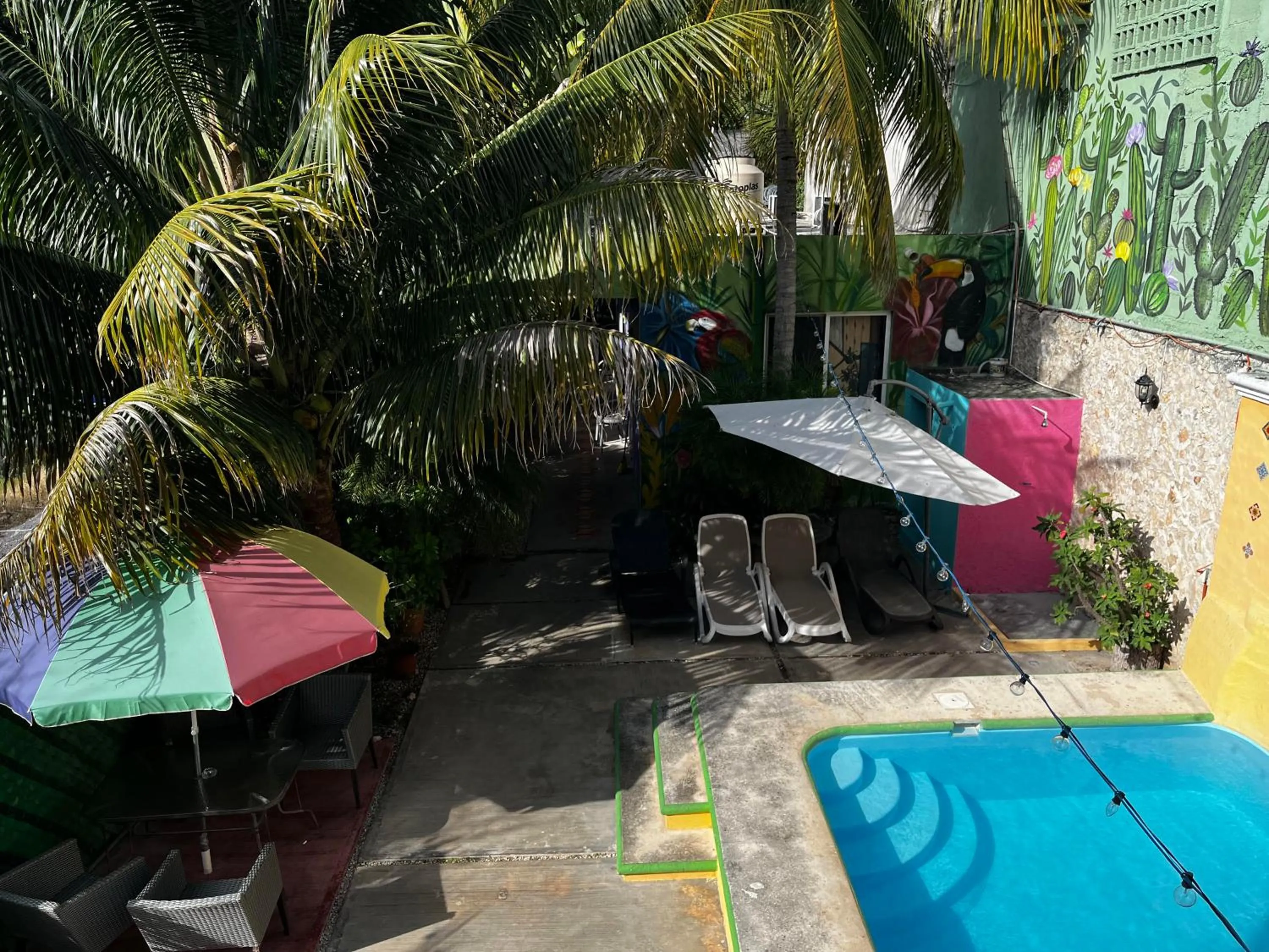 Garden view in Casona del Negro Aguilar