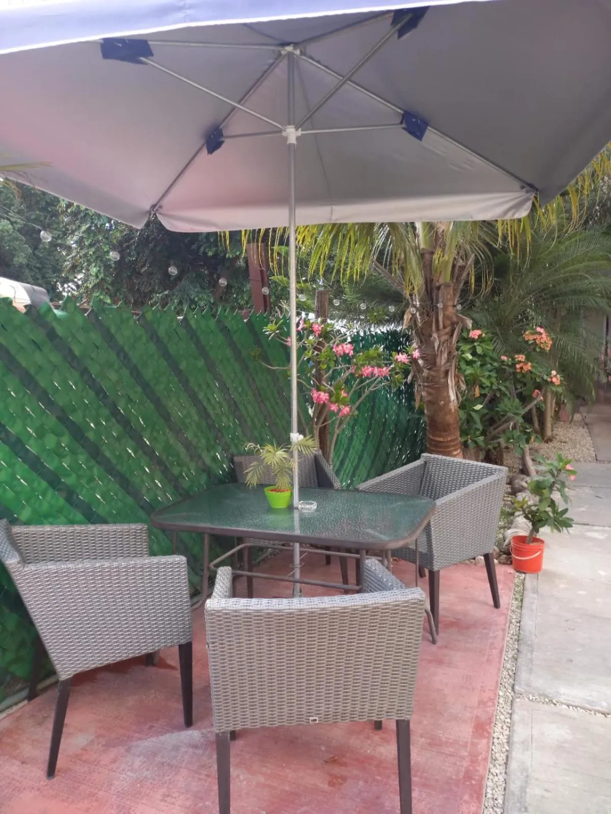 Living room in Casona del Negro Aguilar