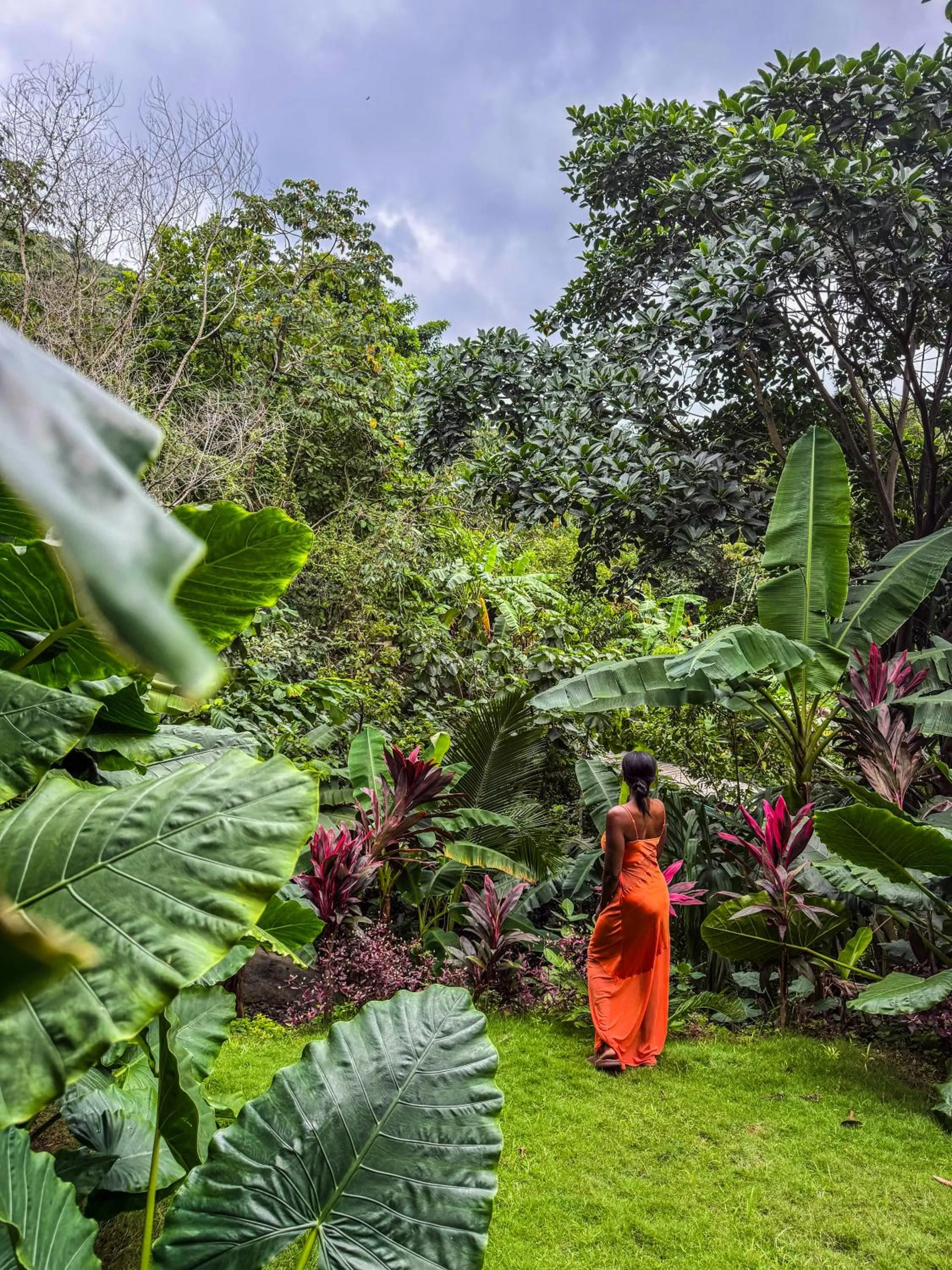 Garden view in Villa Tayrona