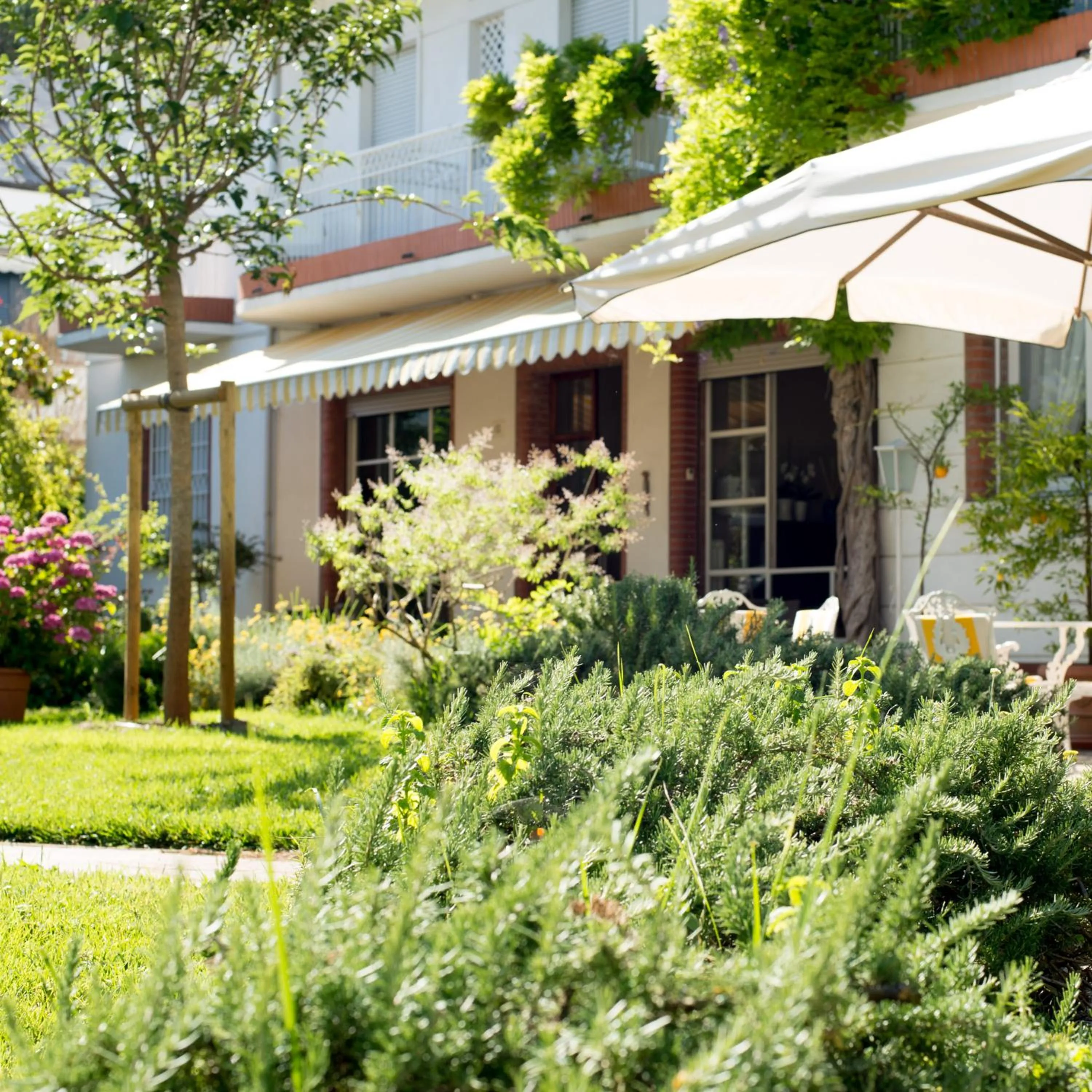 Spring in Villa Arizona