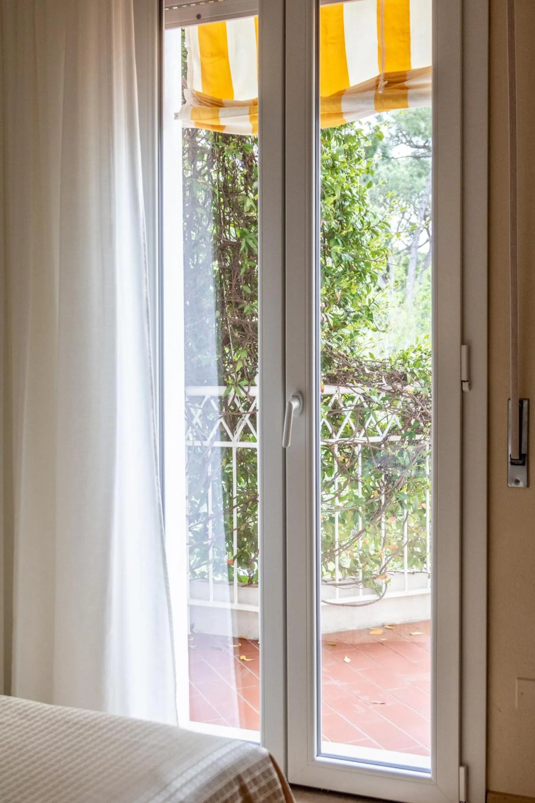 Garden, Bed in Villa Arizona