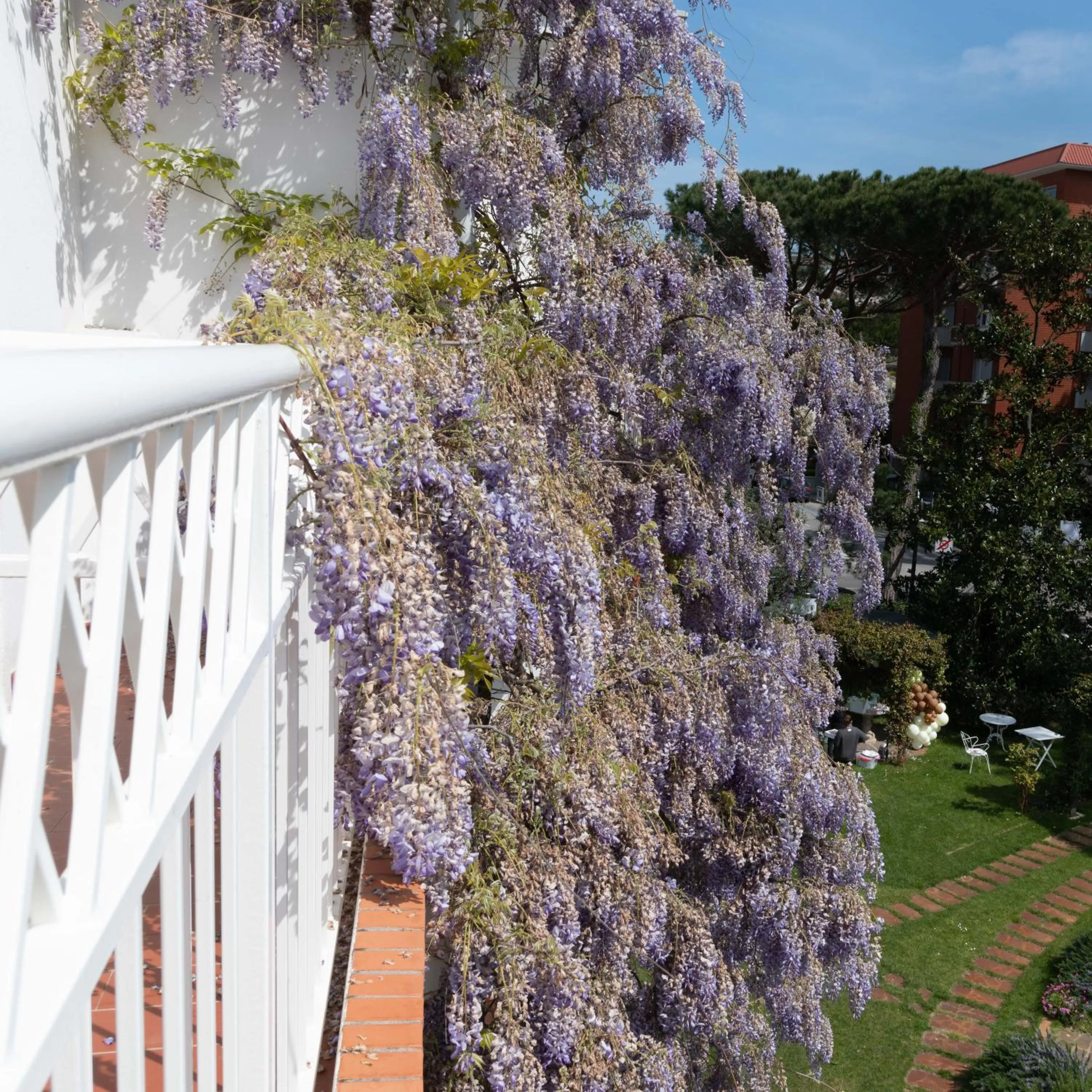 Spring in Villa Arizona