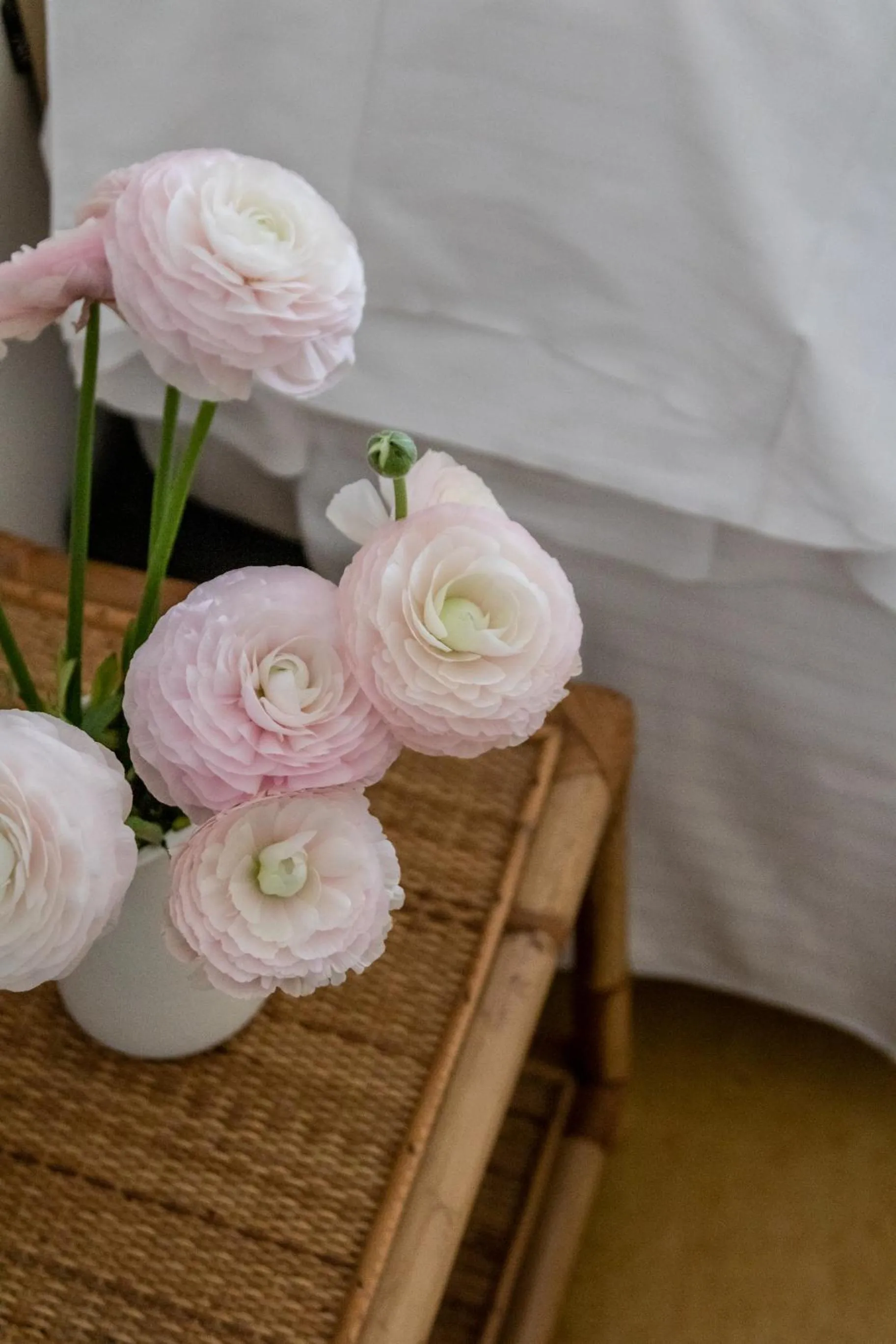 Bed in Villa Arizona