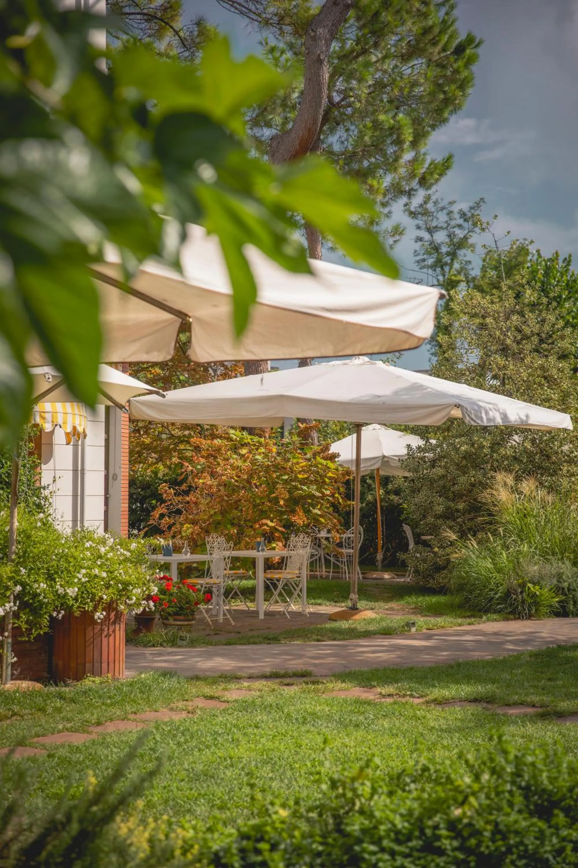 Day in Villa Arizona