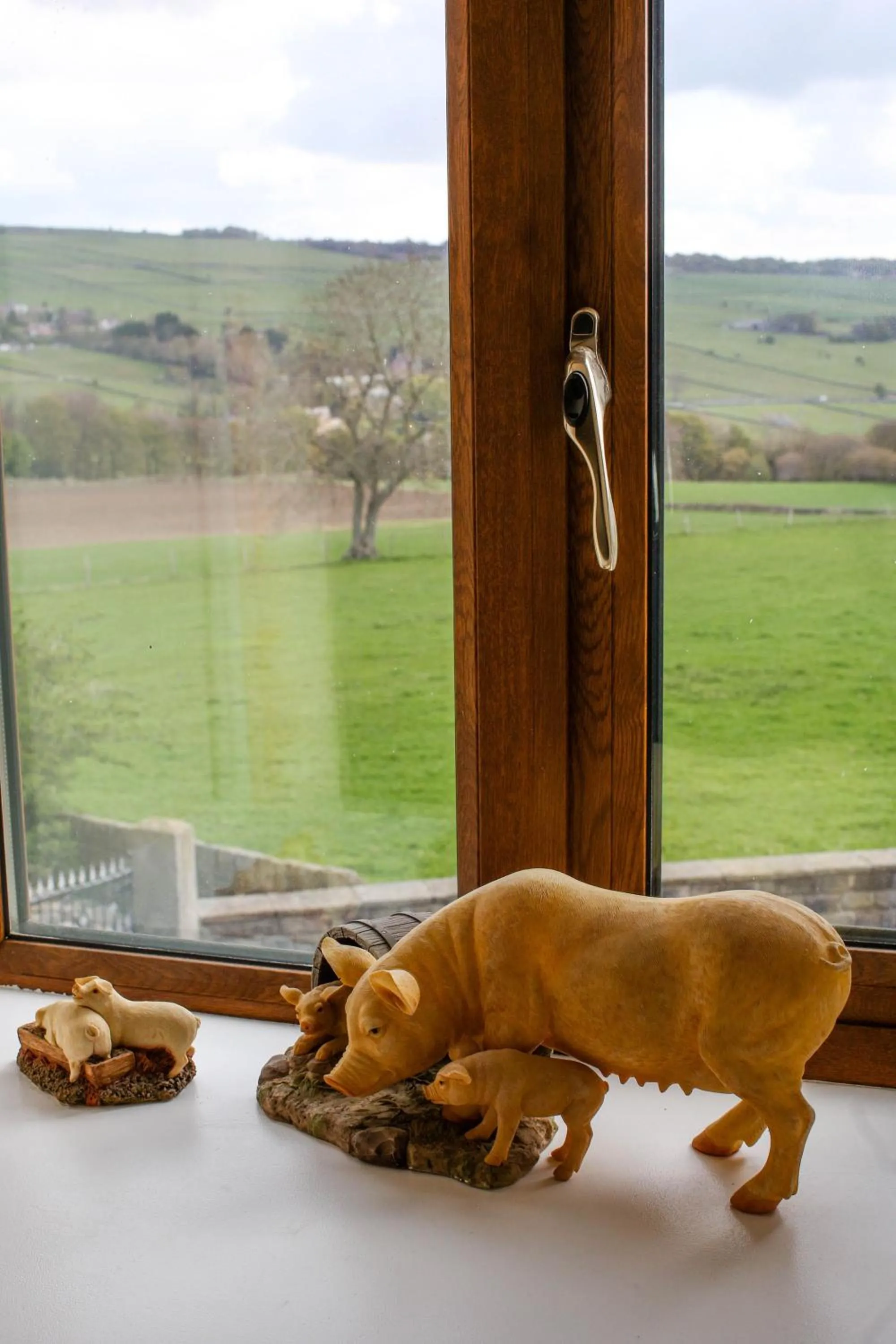 View (from property/room) in Padley Farm