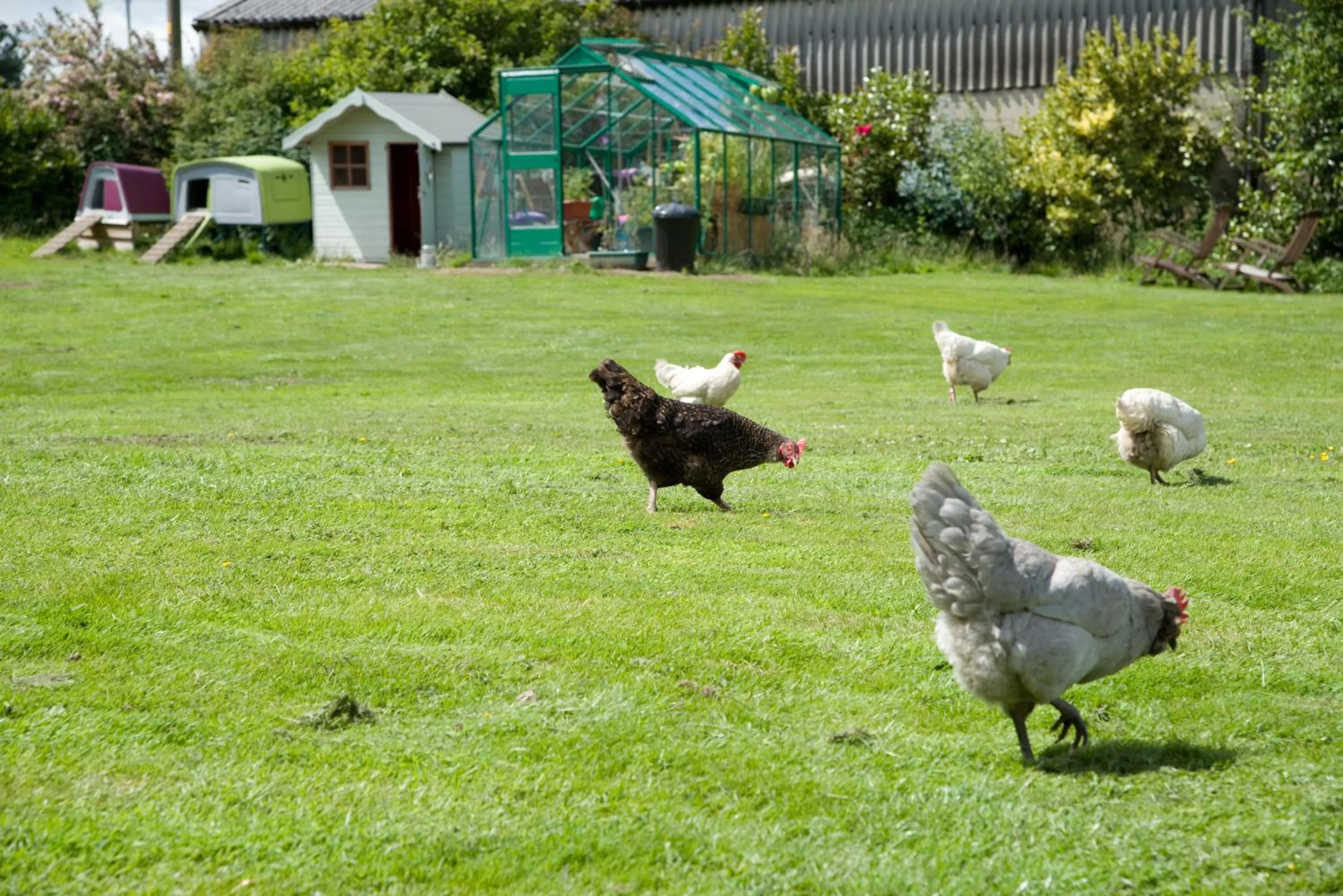 Garden in Padley Farm