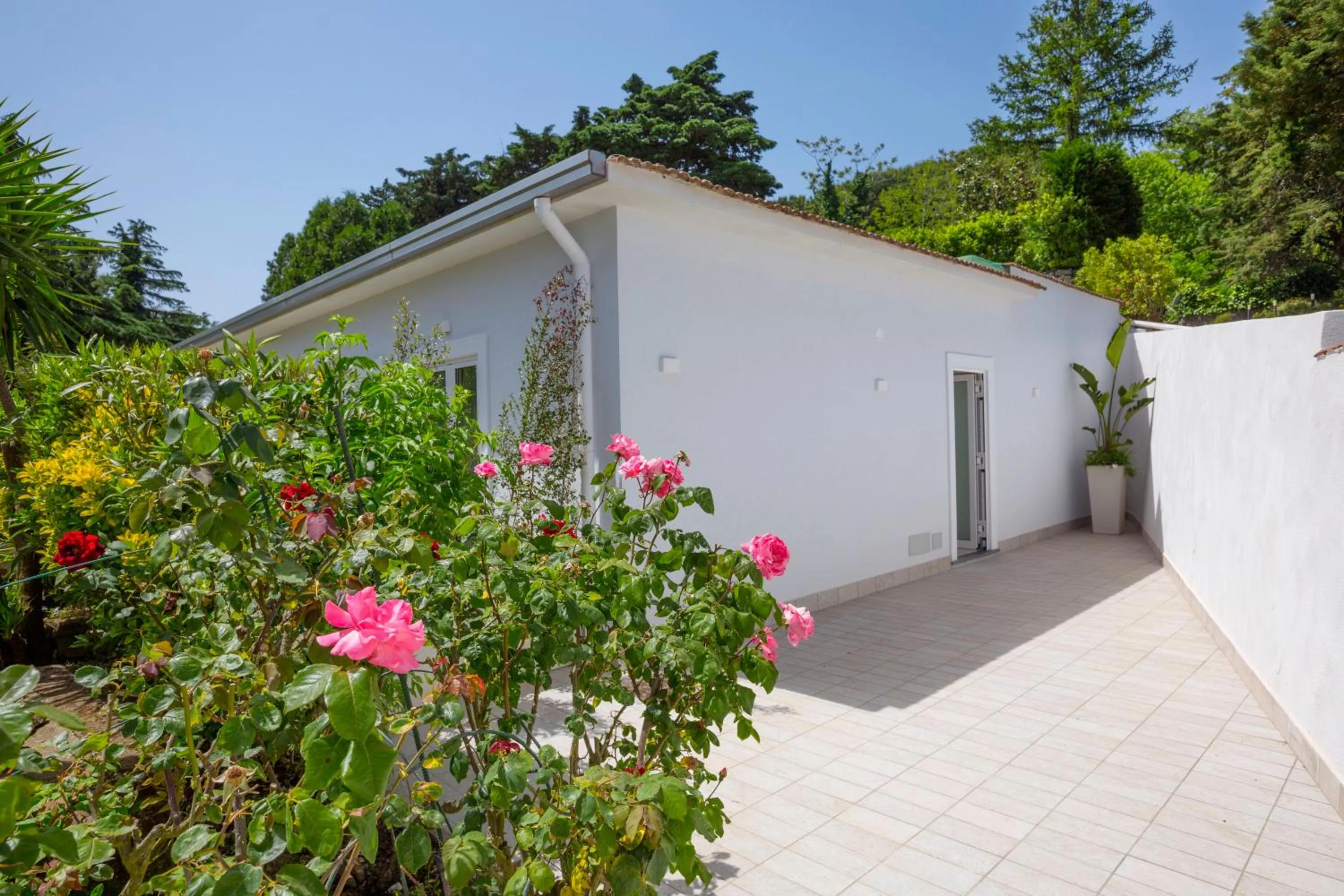 Property building in Hotel O Sole Mio