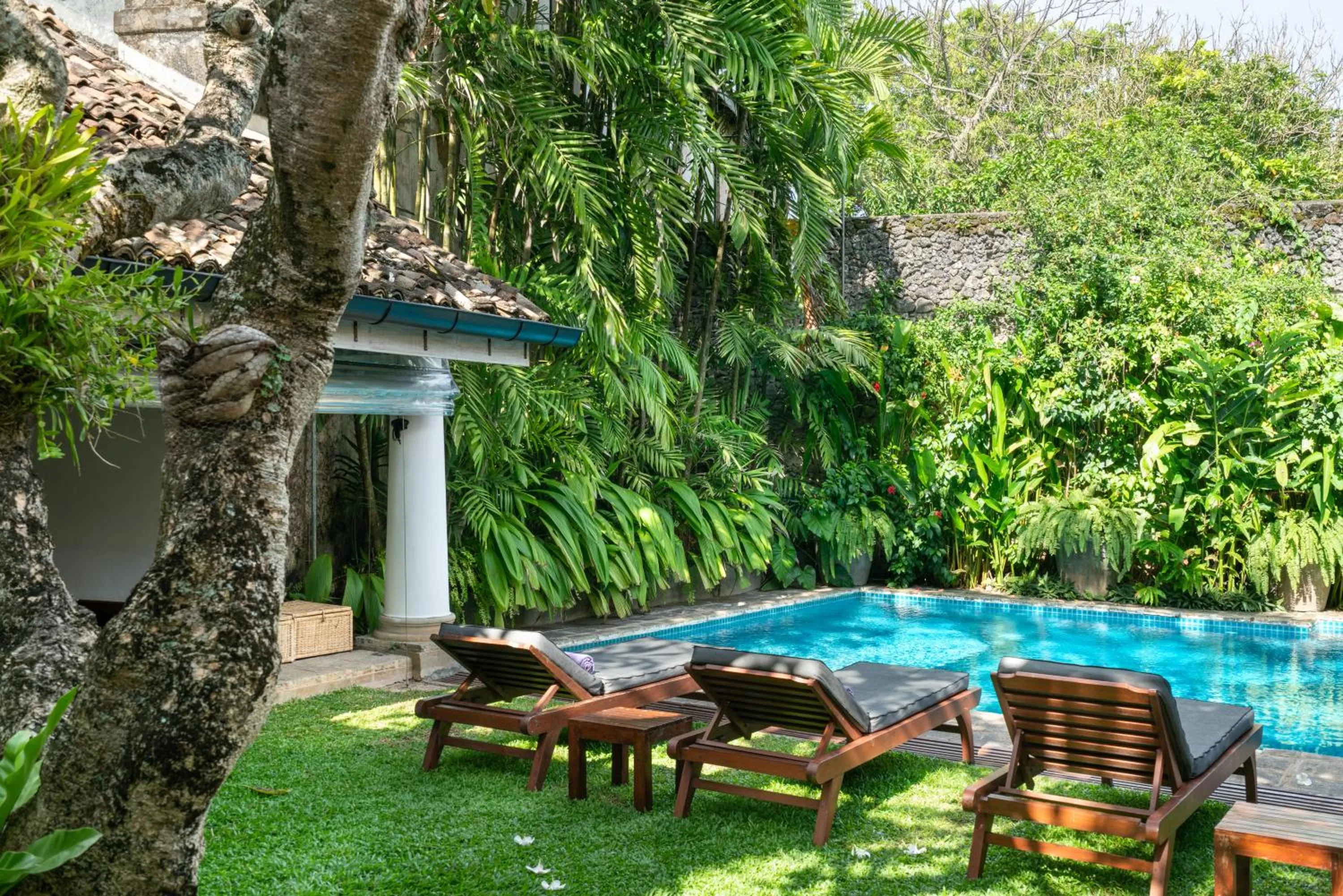 Garden view in Taru Villas Rampart Street - Galle Fort
