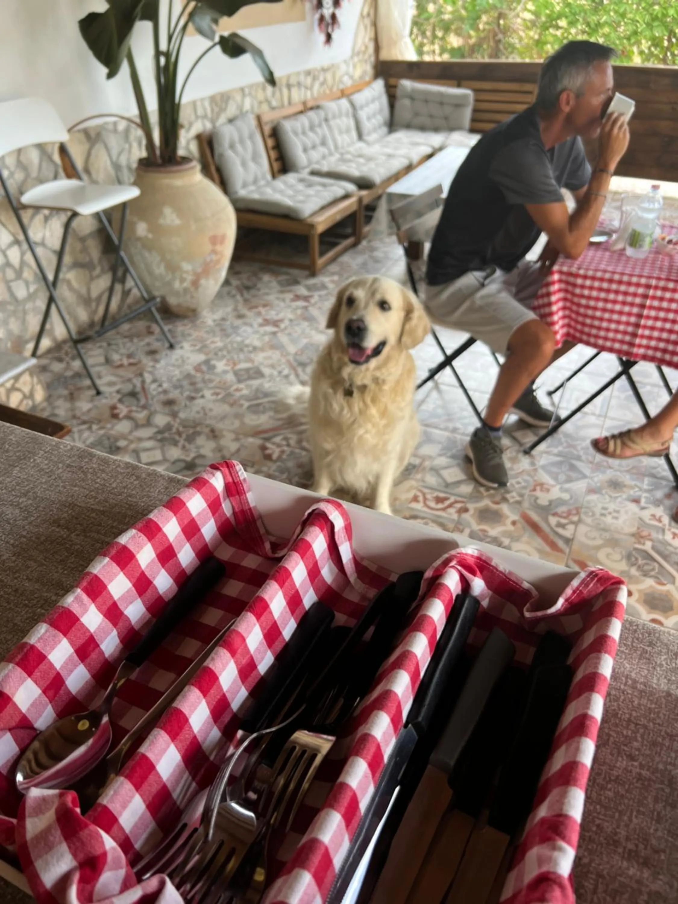 Pets in Cozzo Spadaro B&B OnlyRooms