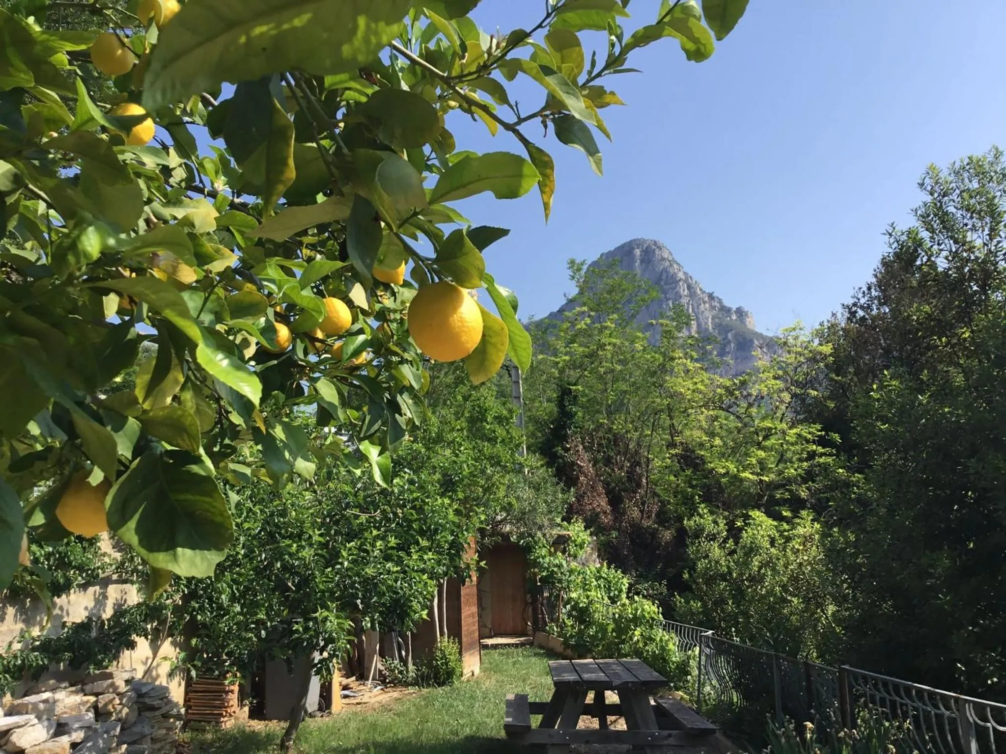 Garden in Au Pied des Baous
