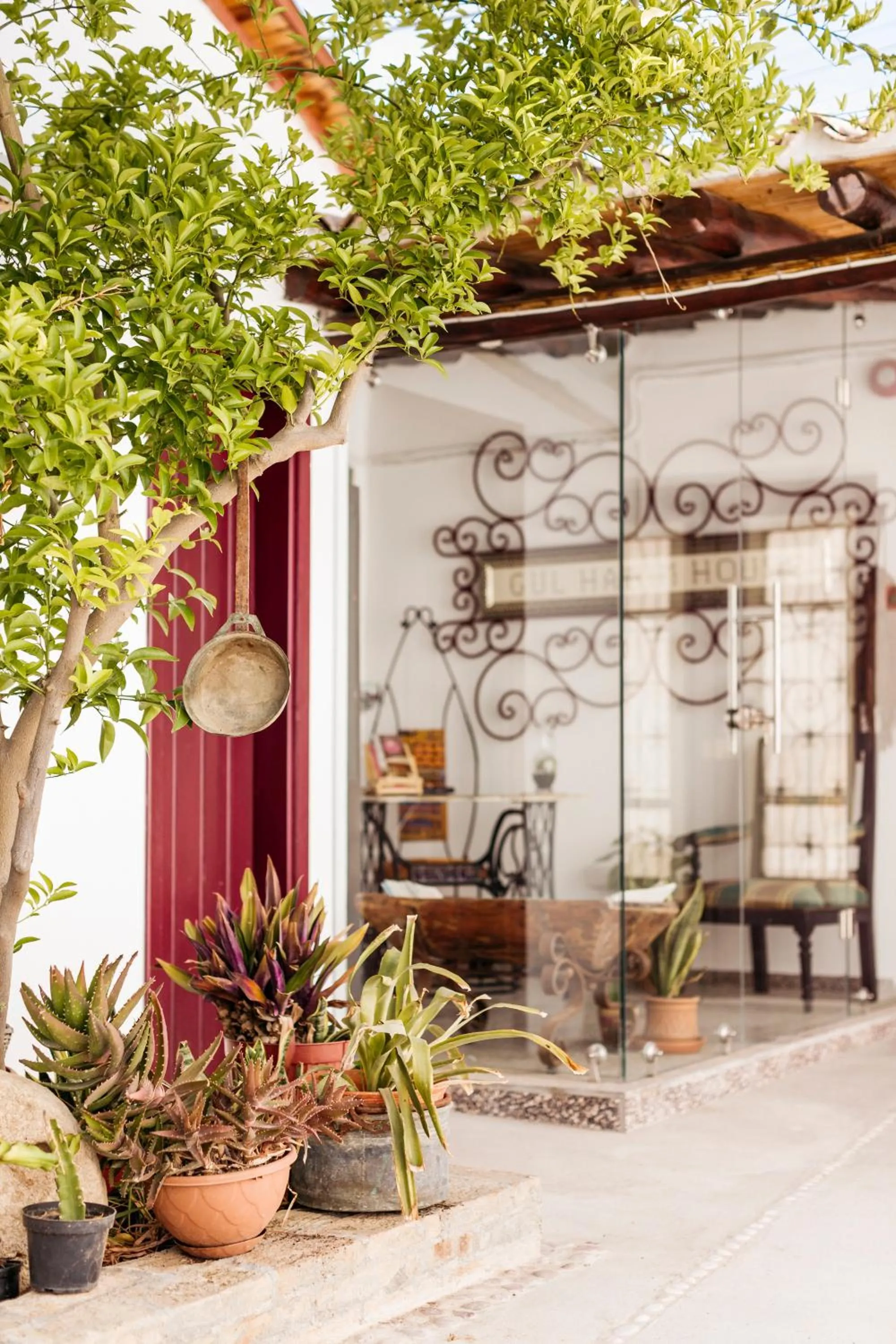 Garden in Gul Hanim House Boutique Hotel