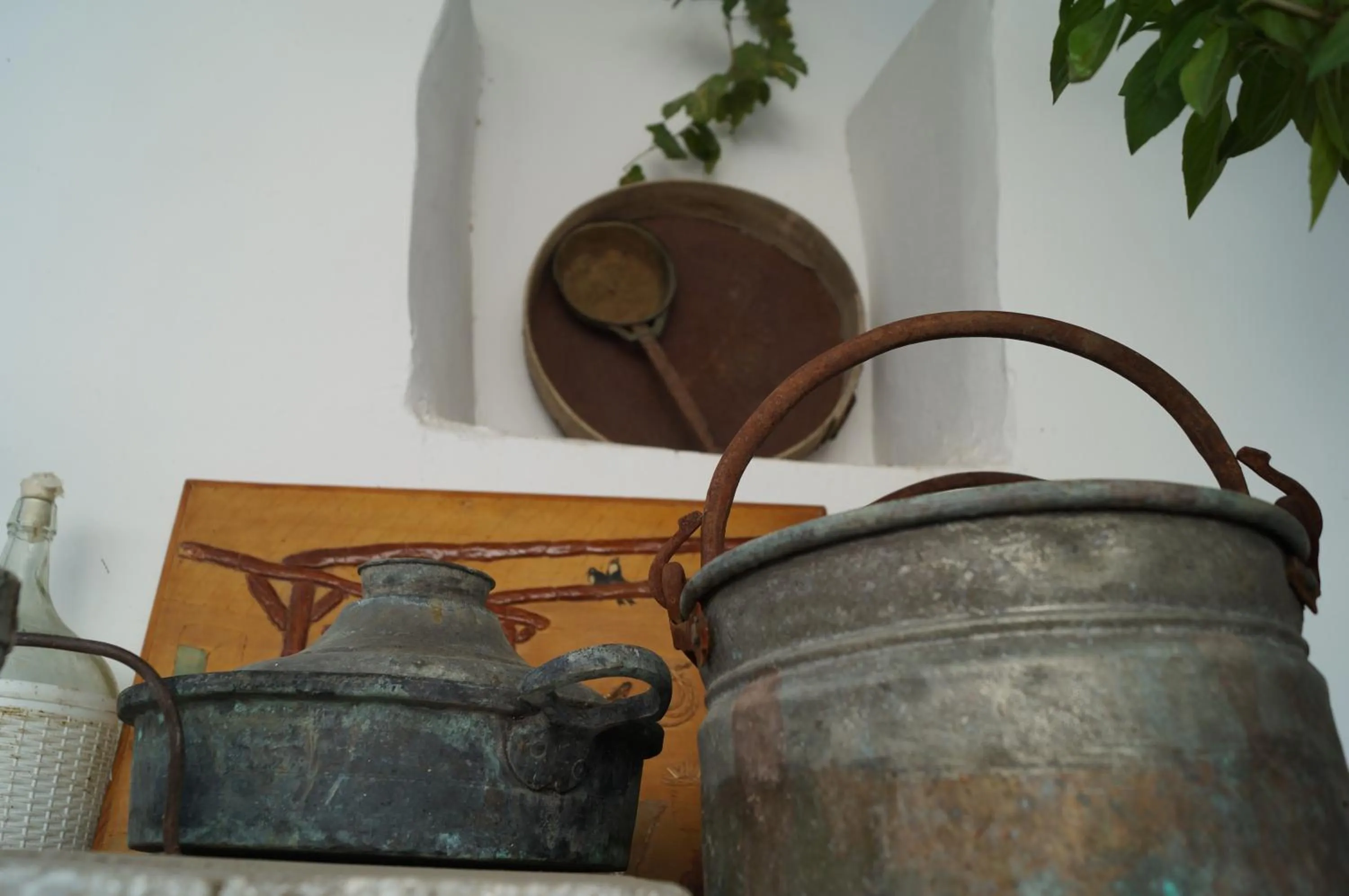 Garden in Gul Hanim House Boutique Hotel