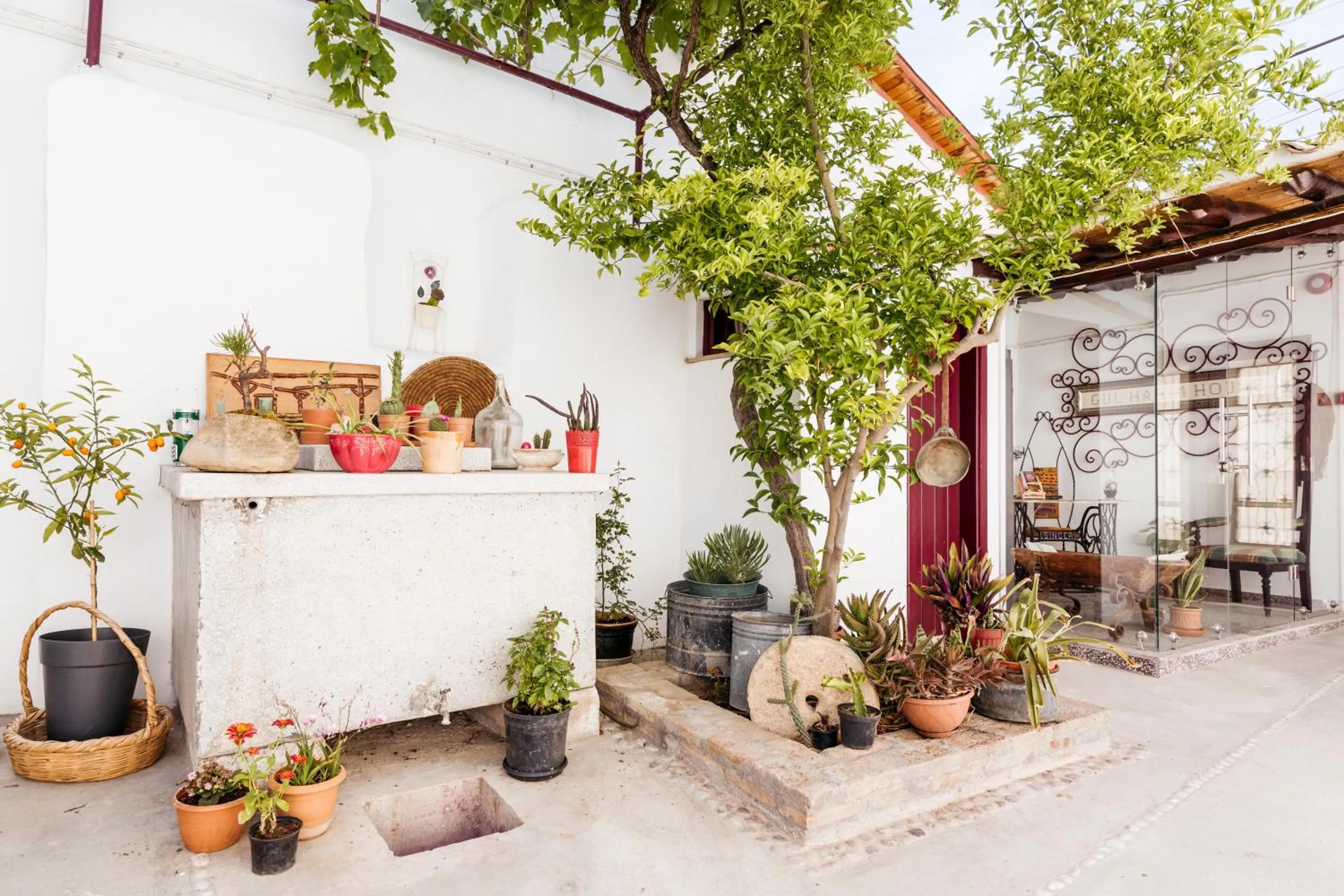 Garden in Gul Hanim House Boutique Hotel