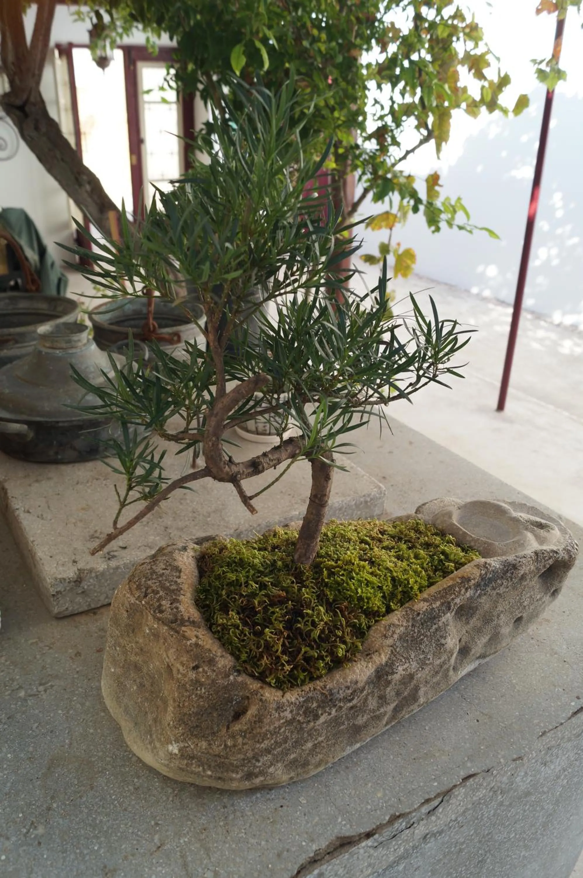 Decorative detail in Gul Hanim House Boutique Hotel