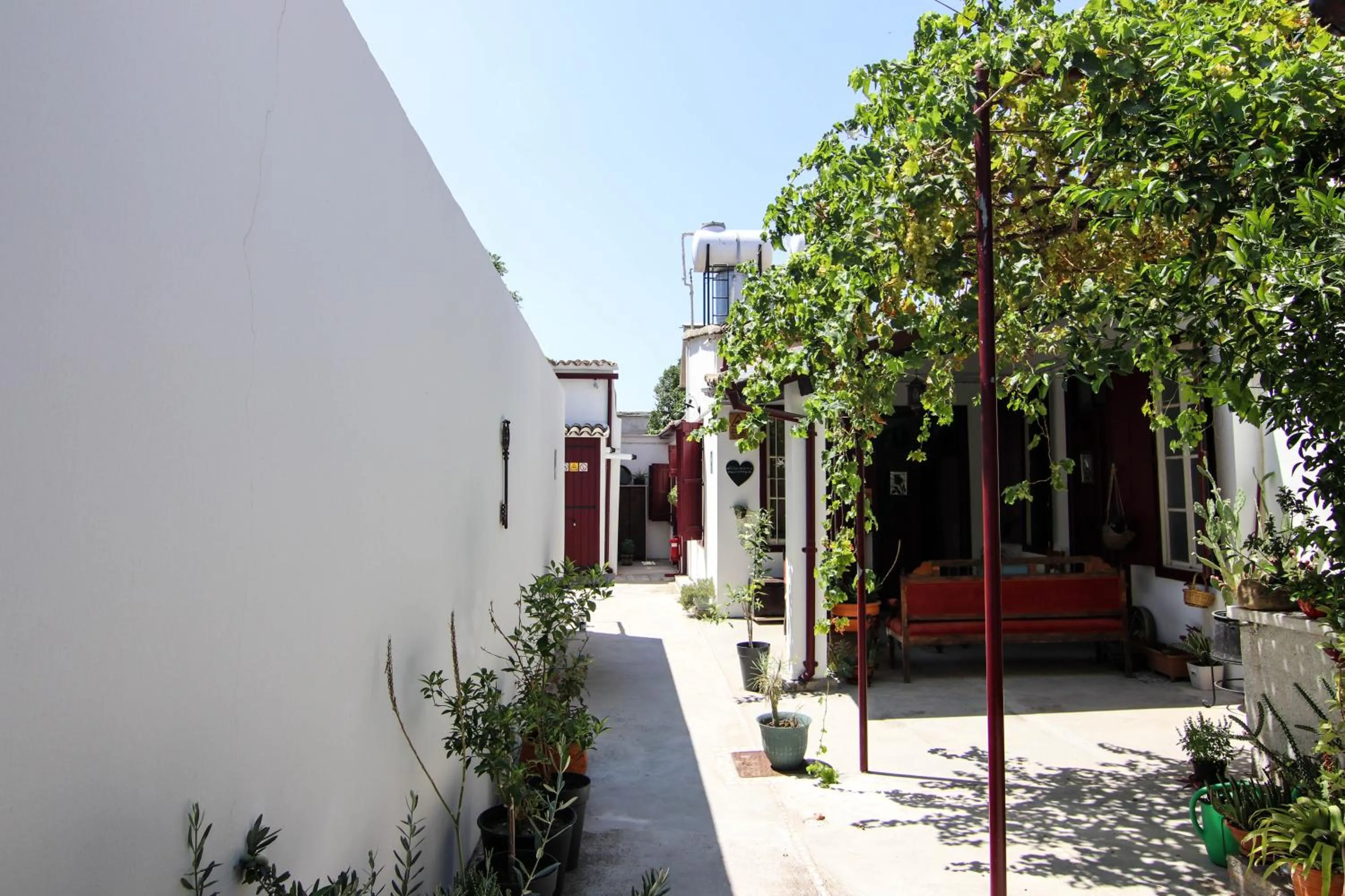 Garden in Gul Hanim House Boutique Hotel