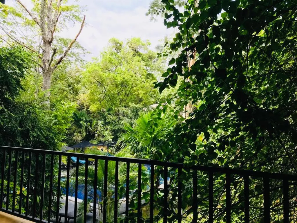 Garden view in Flower Garden Eco Village