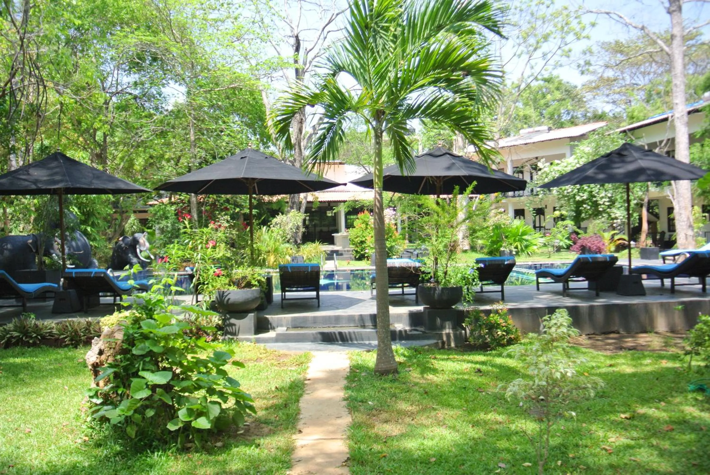 Garden in Flower Garden Eco Village