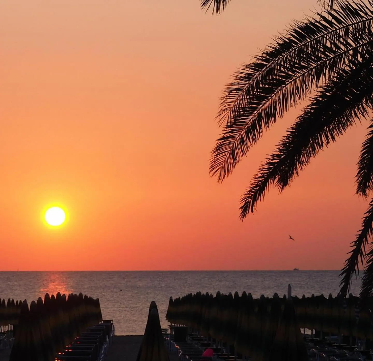 View (from property/room) in Hotel Soraya