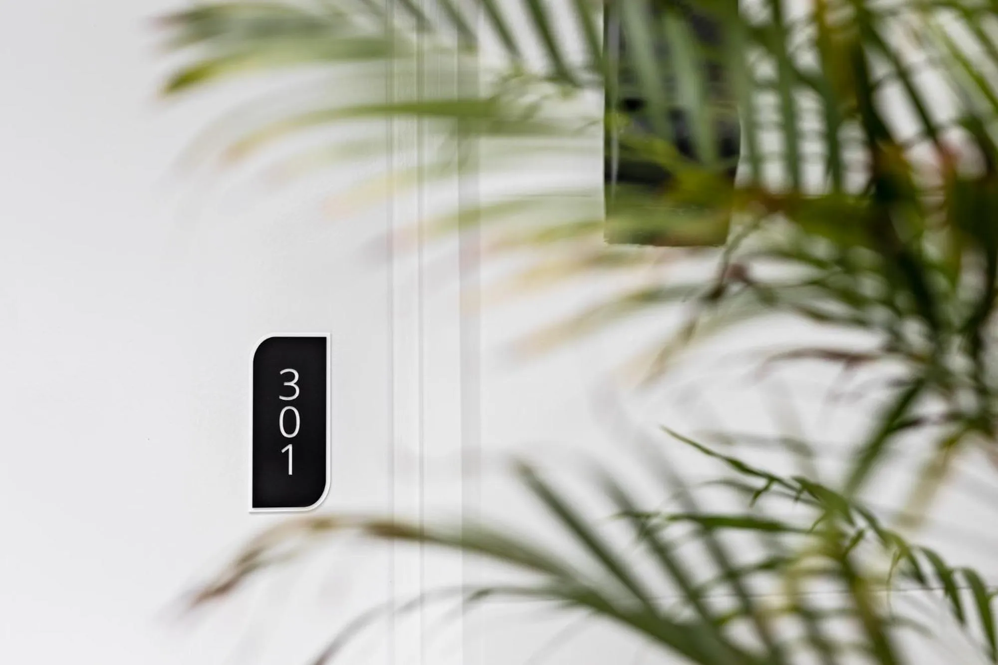 Property building in St Marks Randwick