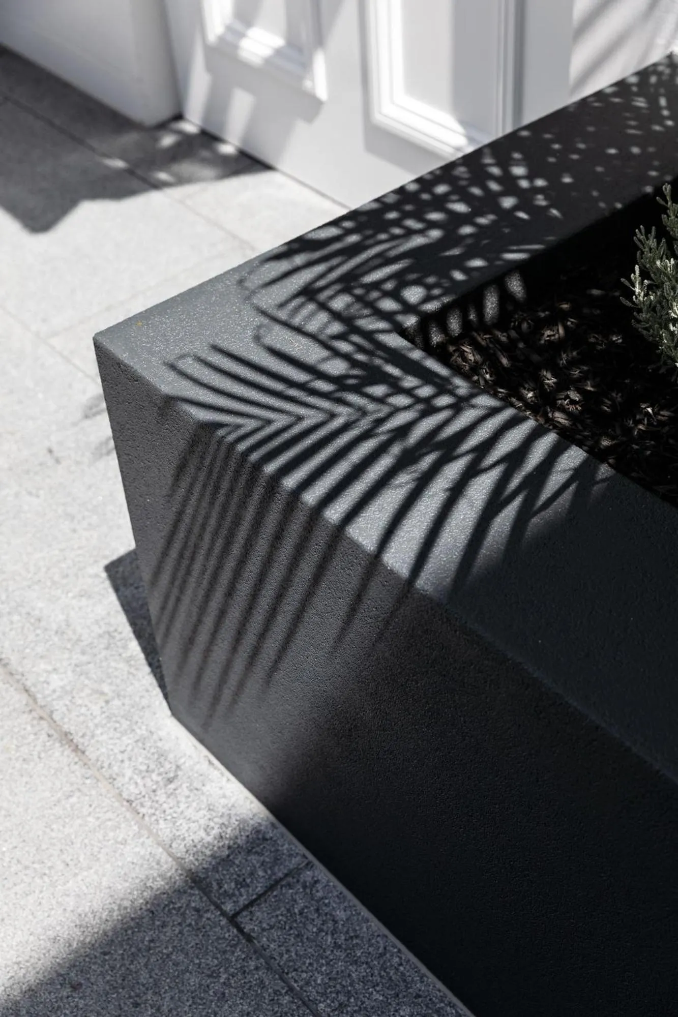 Patio in St Marks Randwick