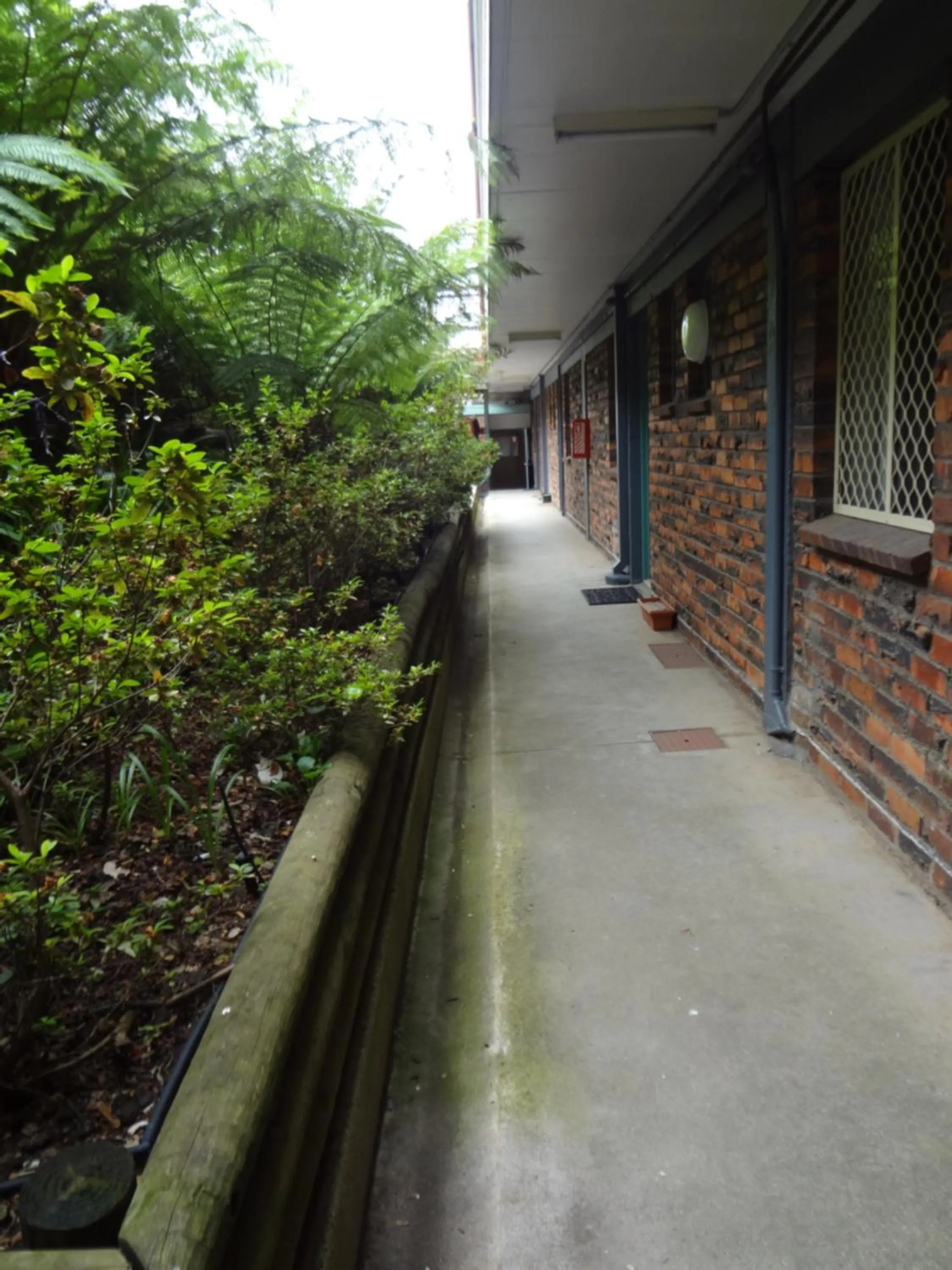 Garden in Adina Place Motel Apartments