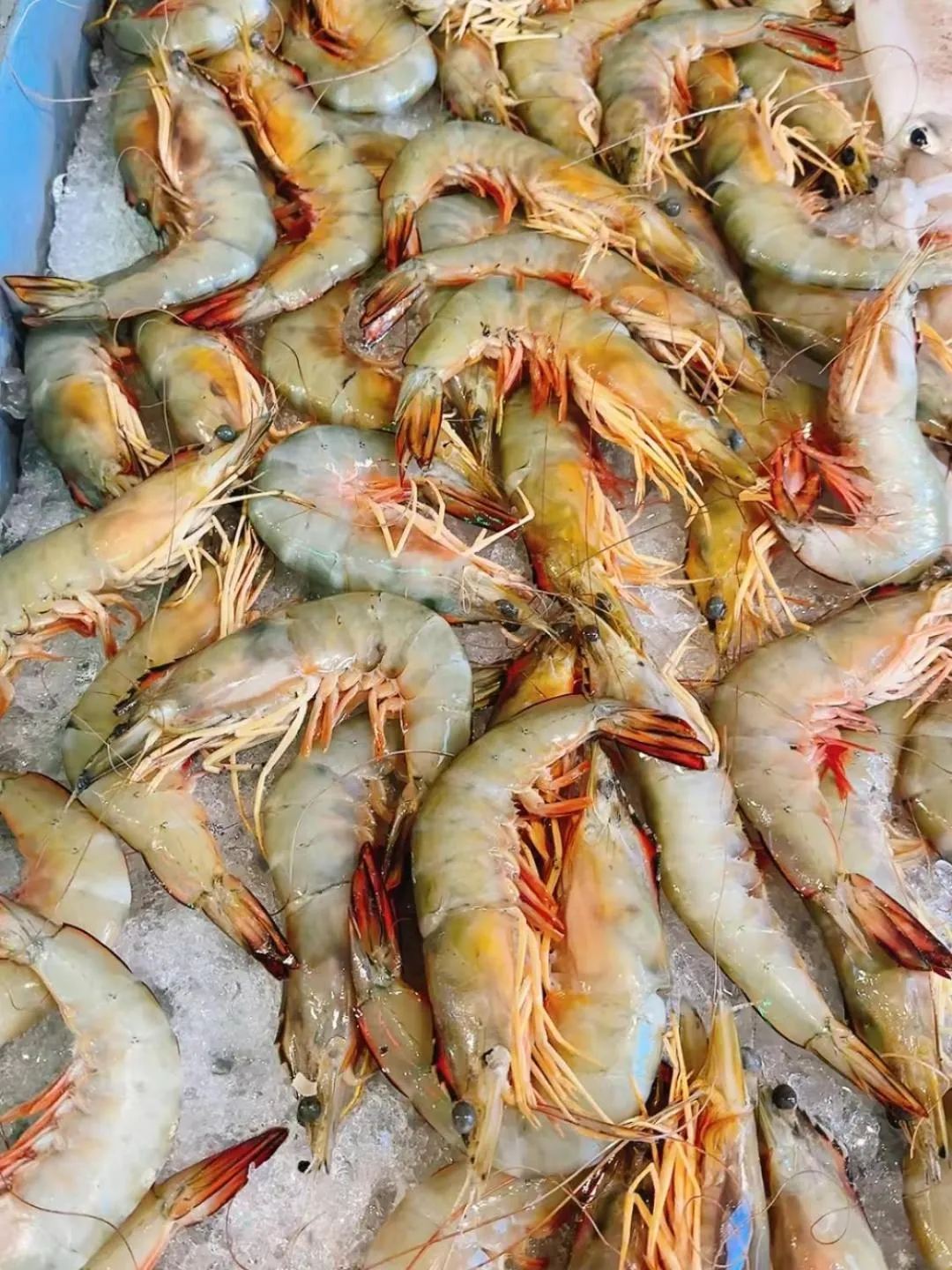 Food and drinks in Sunlight Bungalow