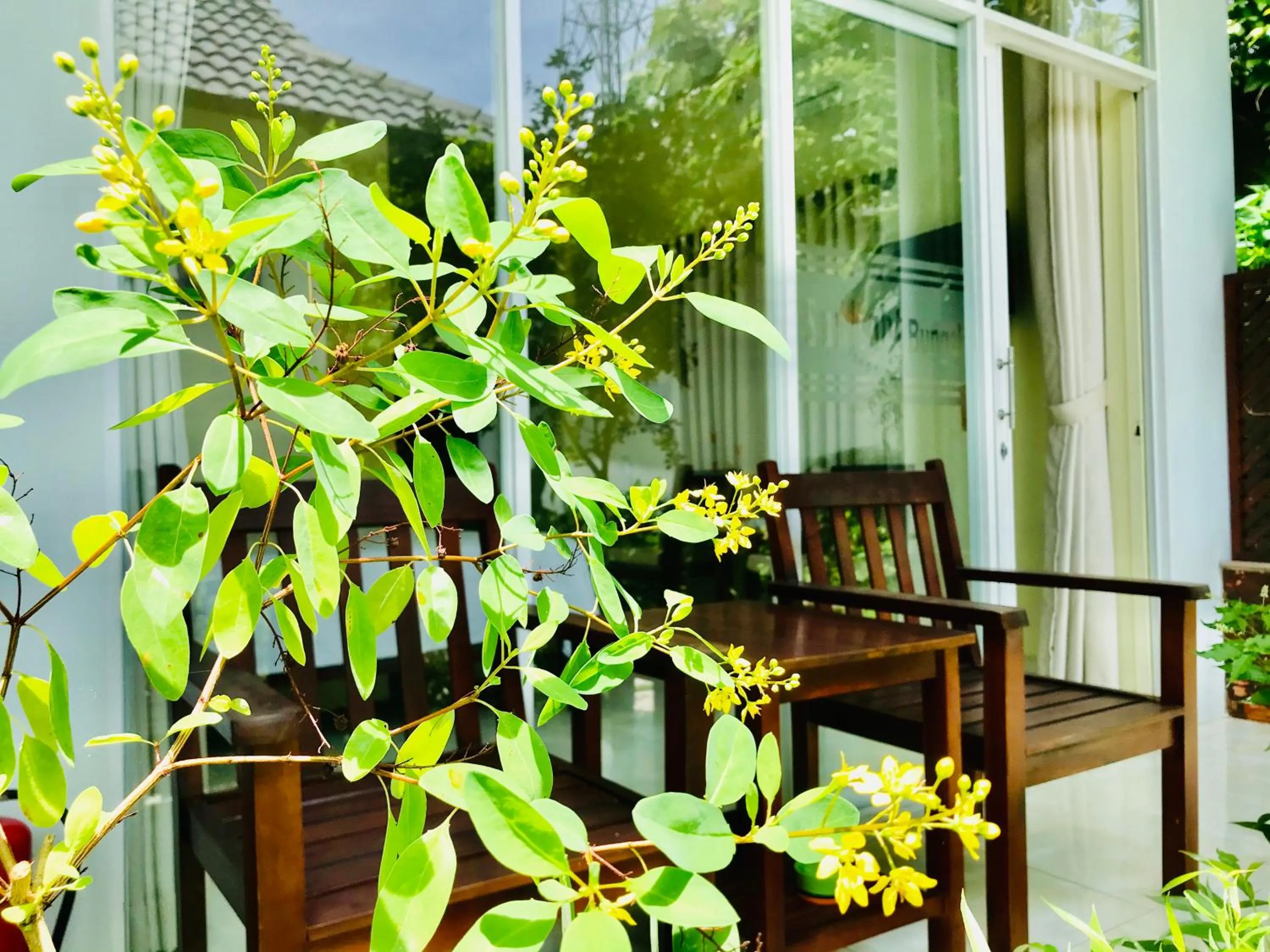 Balcony/Terrace in Sunlight Bungalow