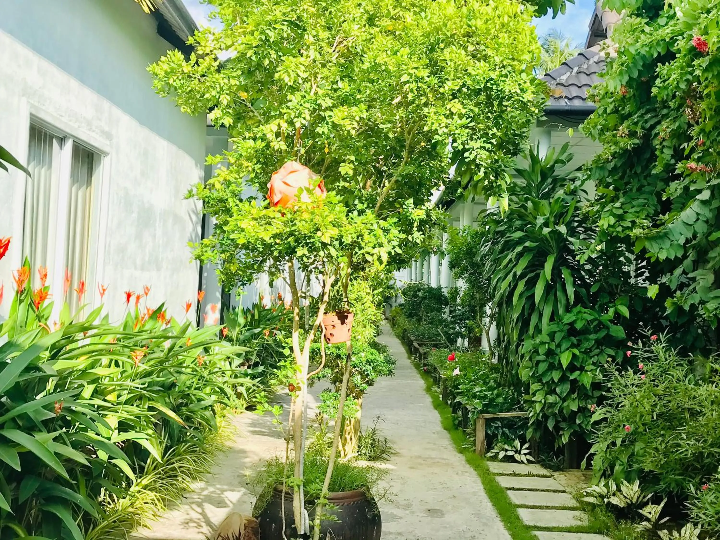 Garden in Sunlight Bungalow