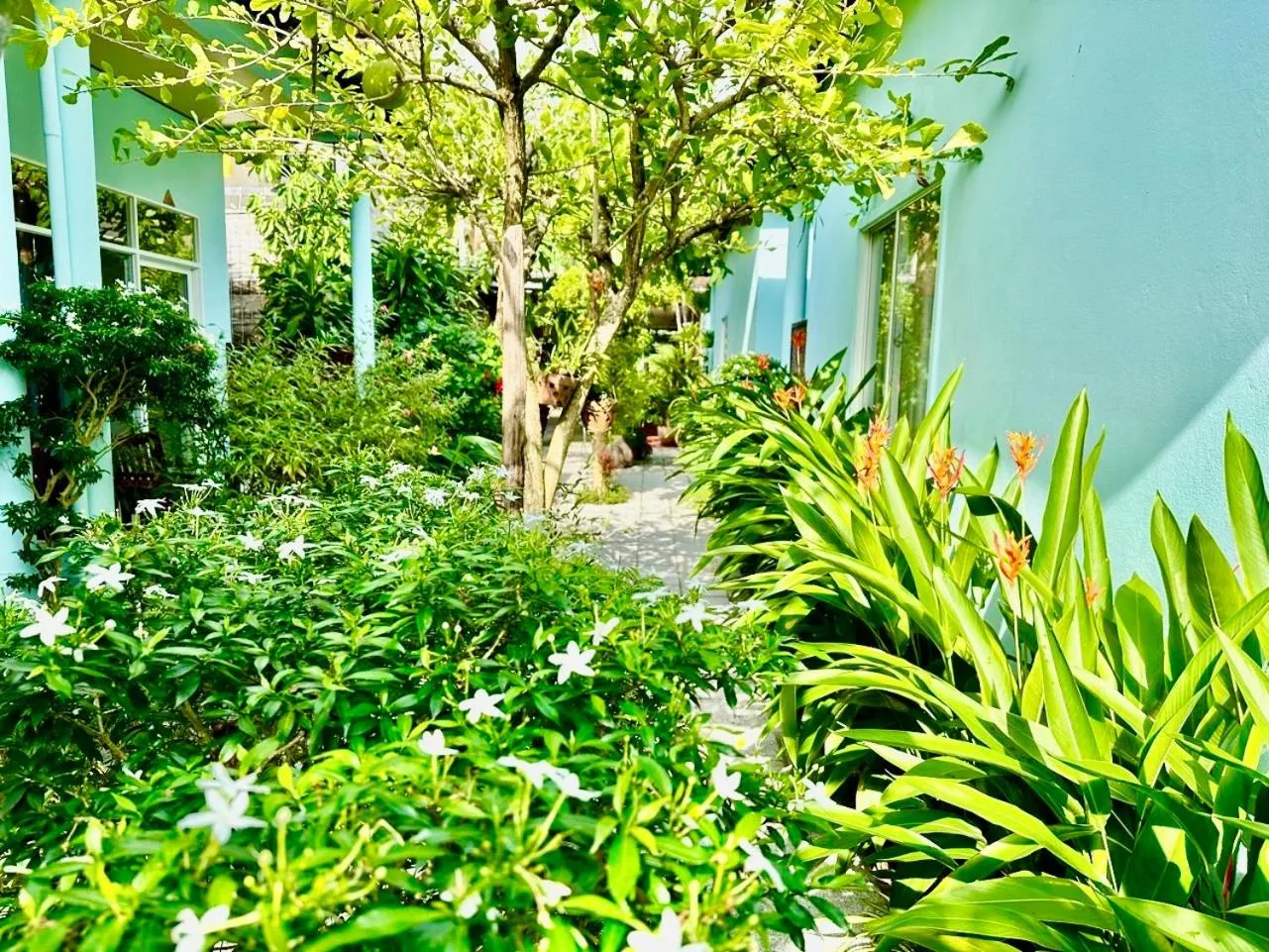 Garden view in Sunlight Bungalow