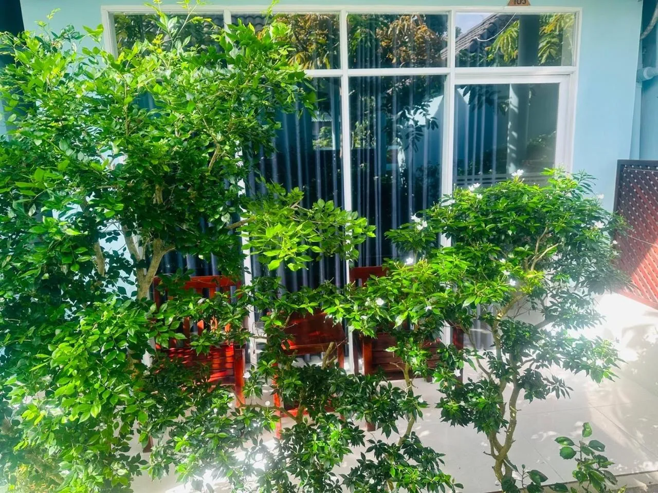 Garden view in Sunlight Bungalow