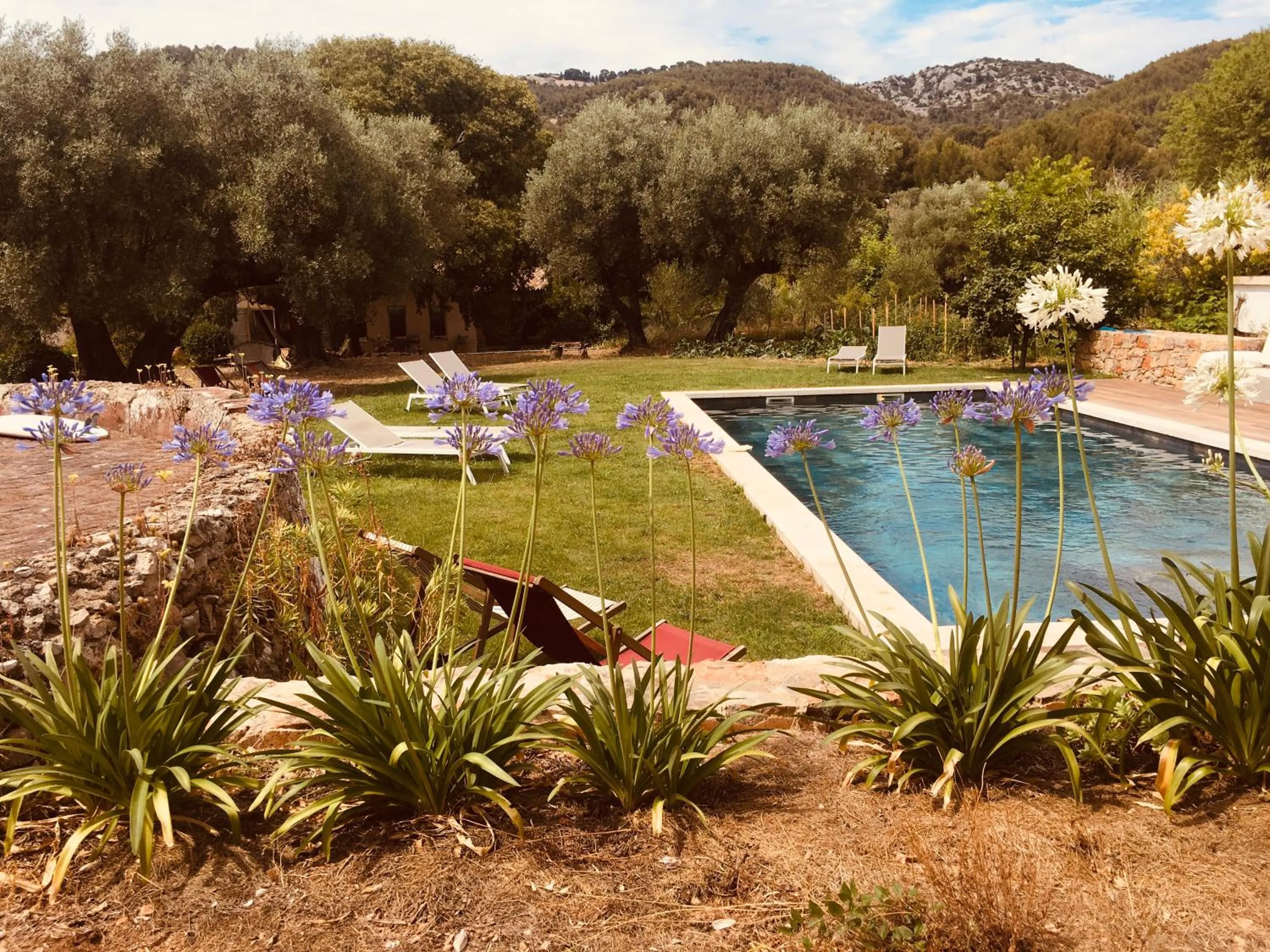 Garden in Bastide Sainte Trinide