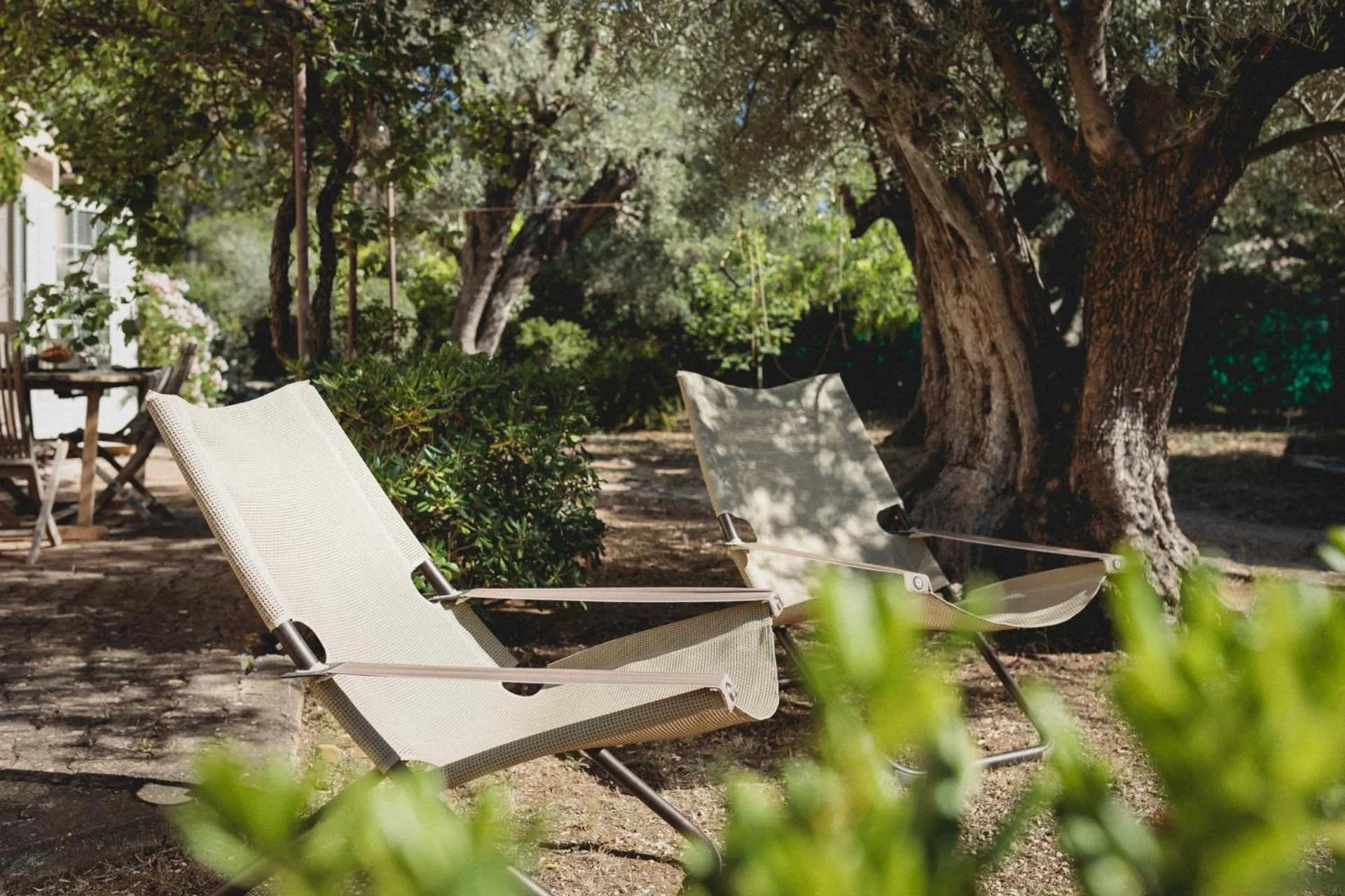 Garden in Bastide Sainte Trinide