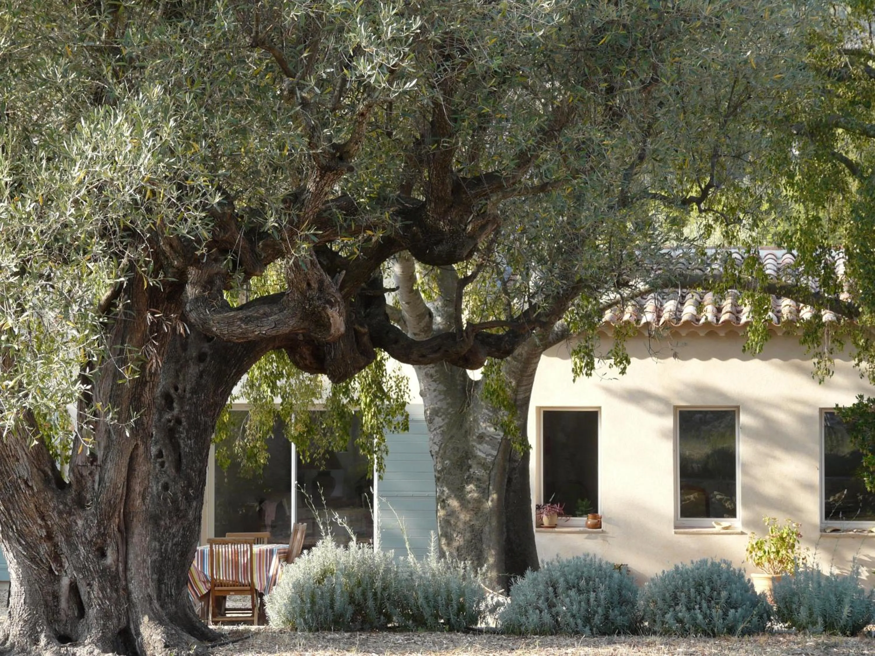 Facade/entrance in Bastide Sainte Trinide