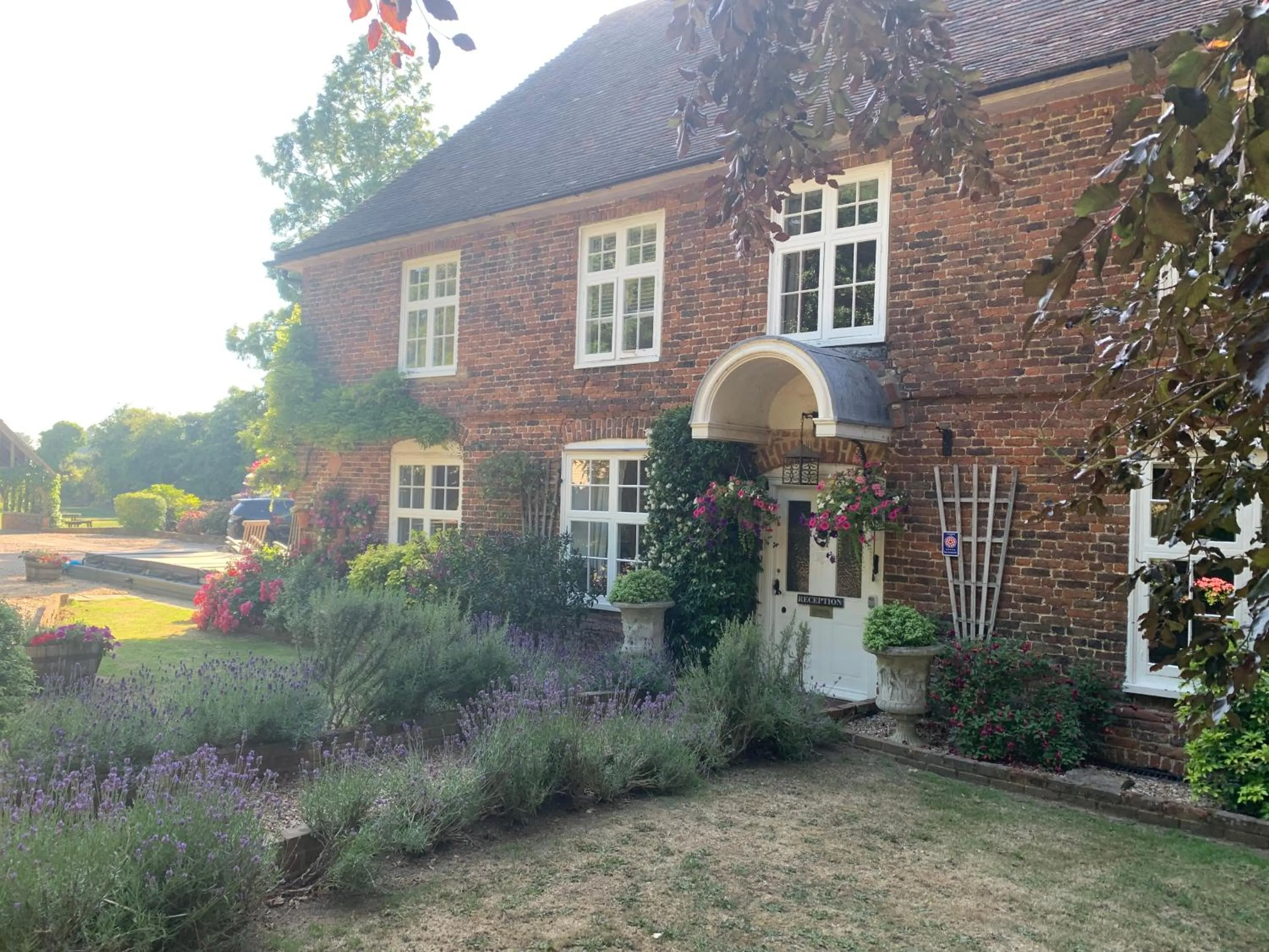 Molland Manor House Bed & Breakfast