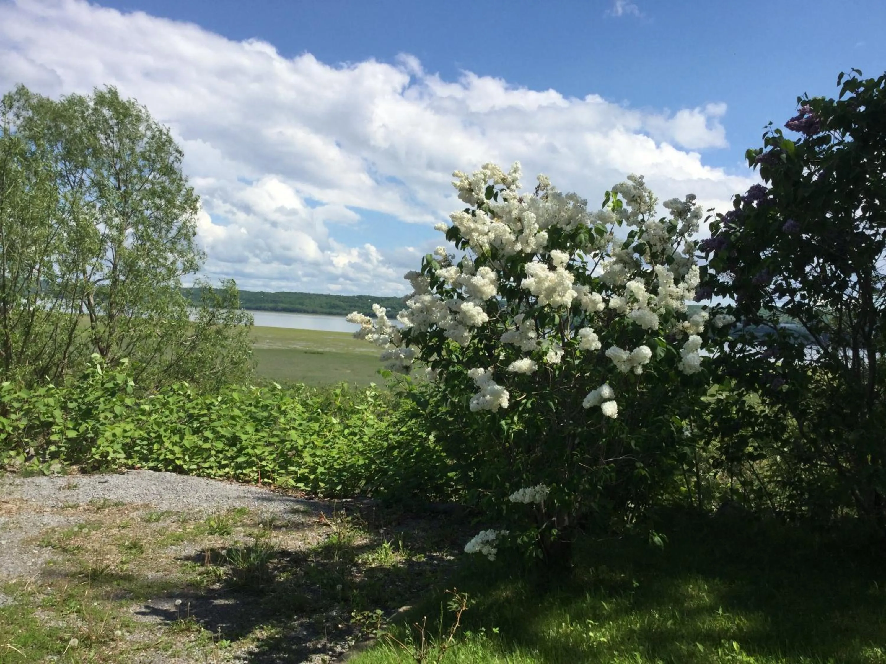 River view in Motel Et Condo Chez Charley