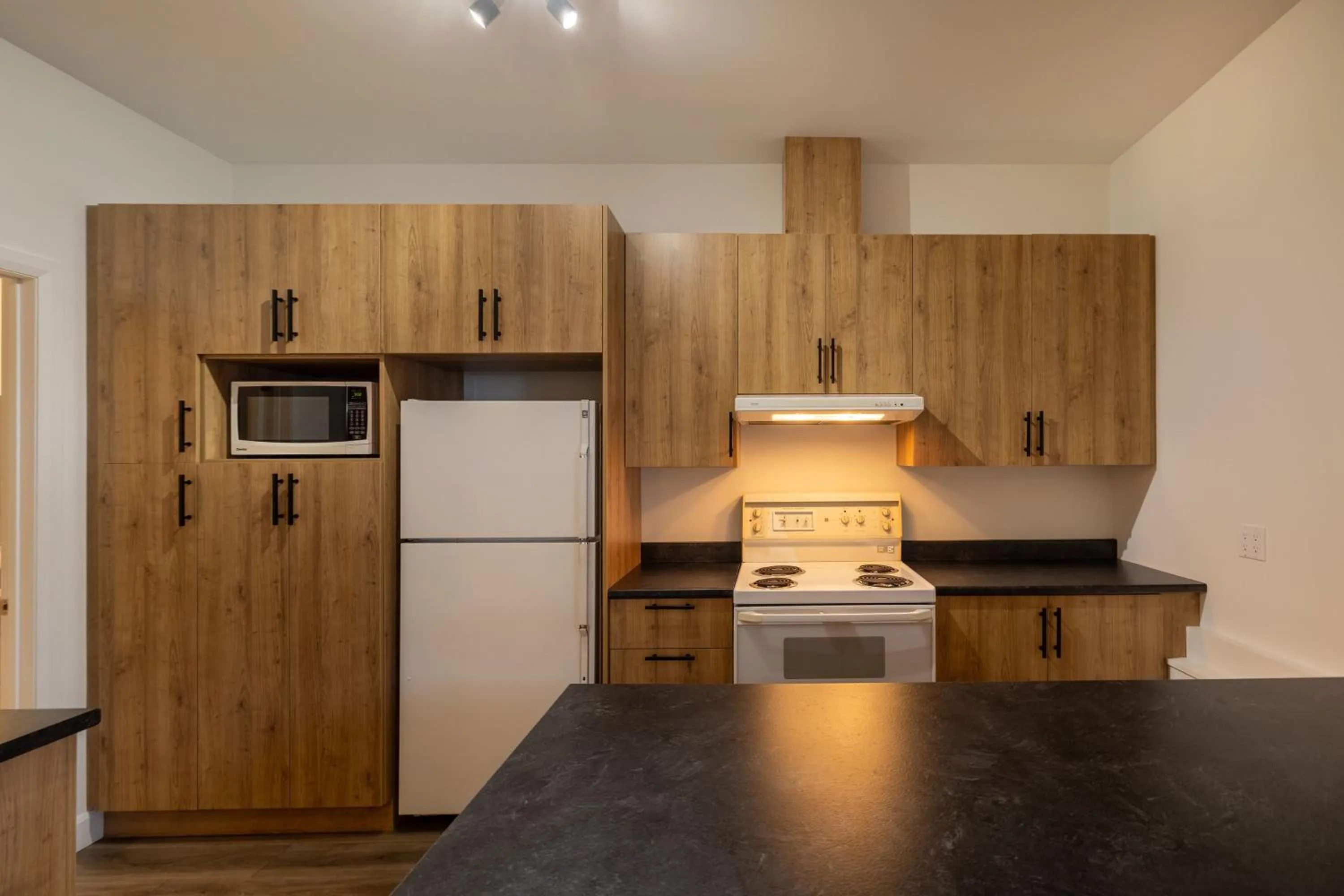 Kitchen or kitchenette in Motel Et Condo Chez Charley