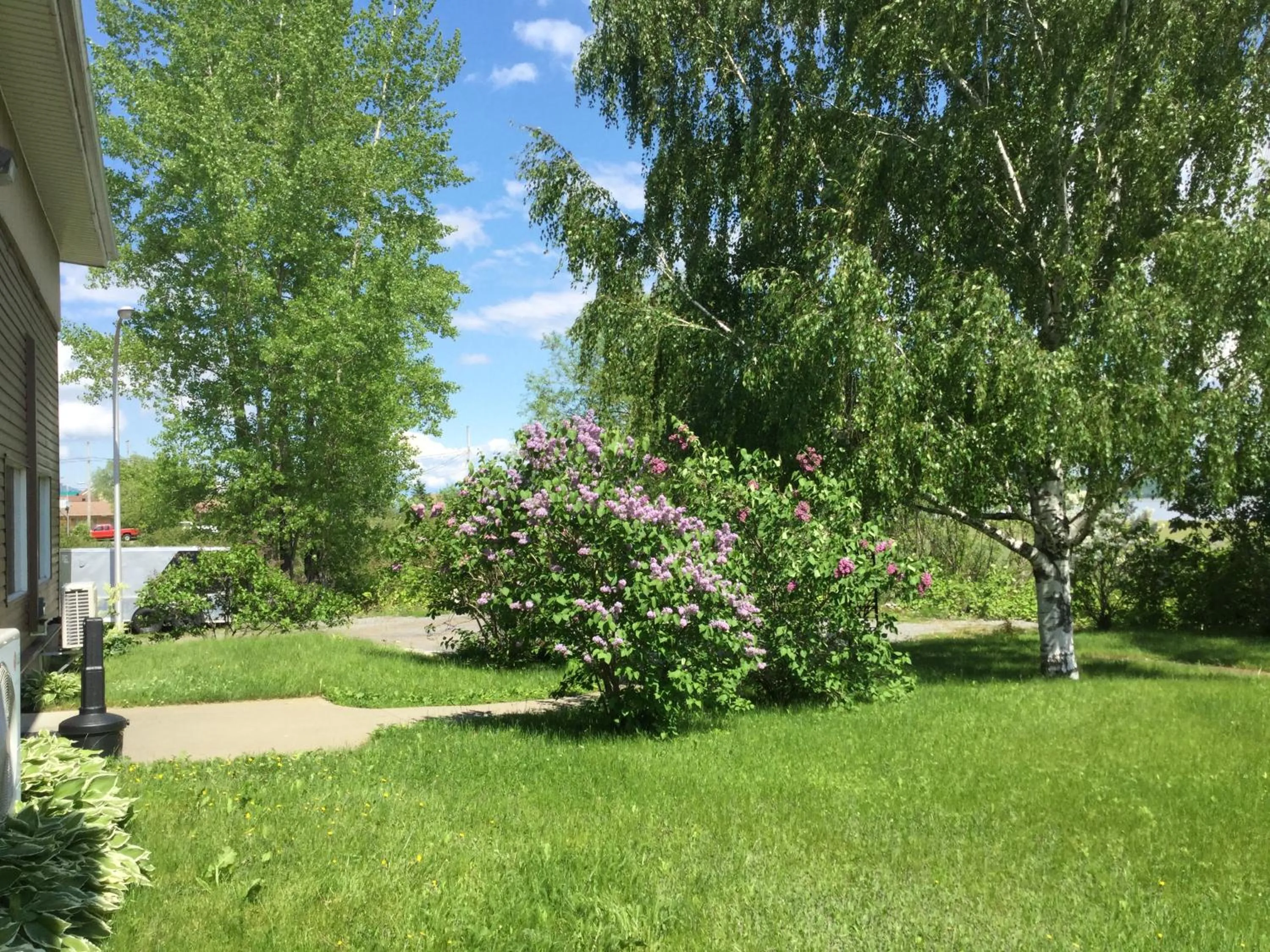 Garden view in Motel Et Condo Chez Charley