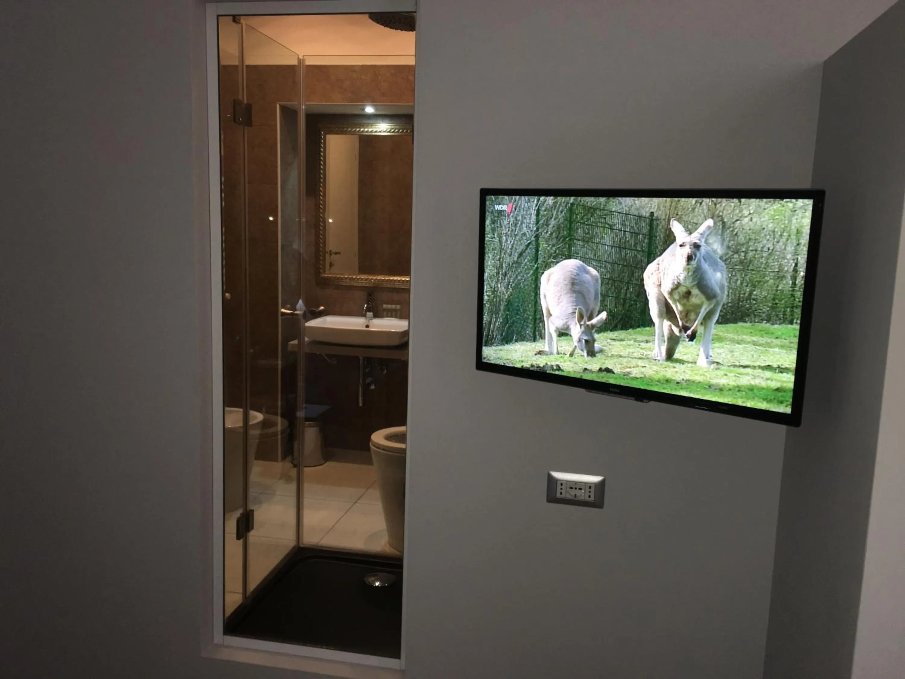 Photo of the whole room in Roma Veneto Relais