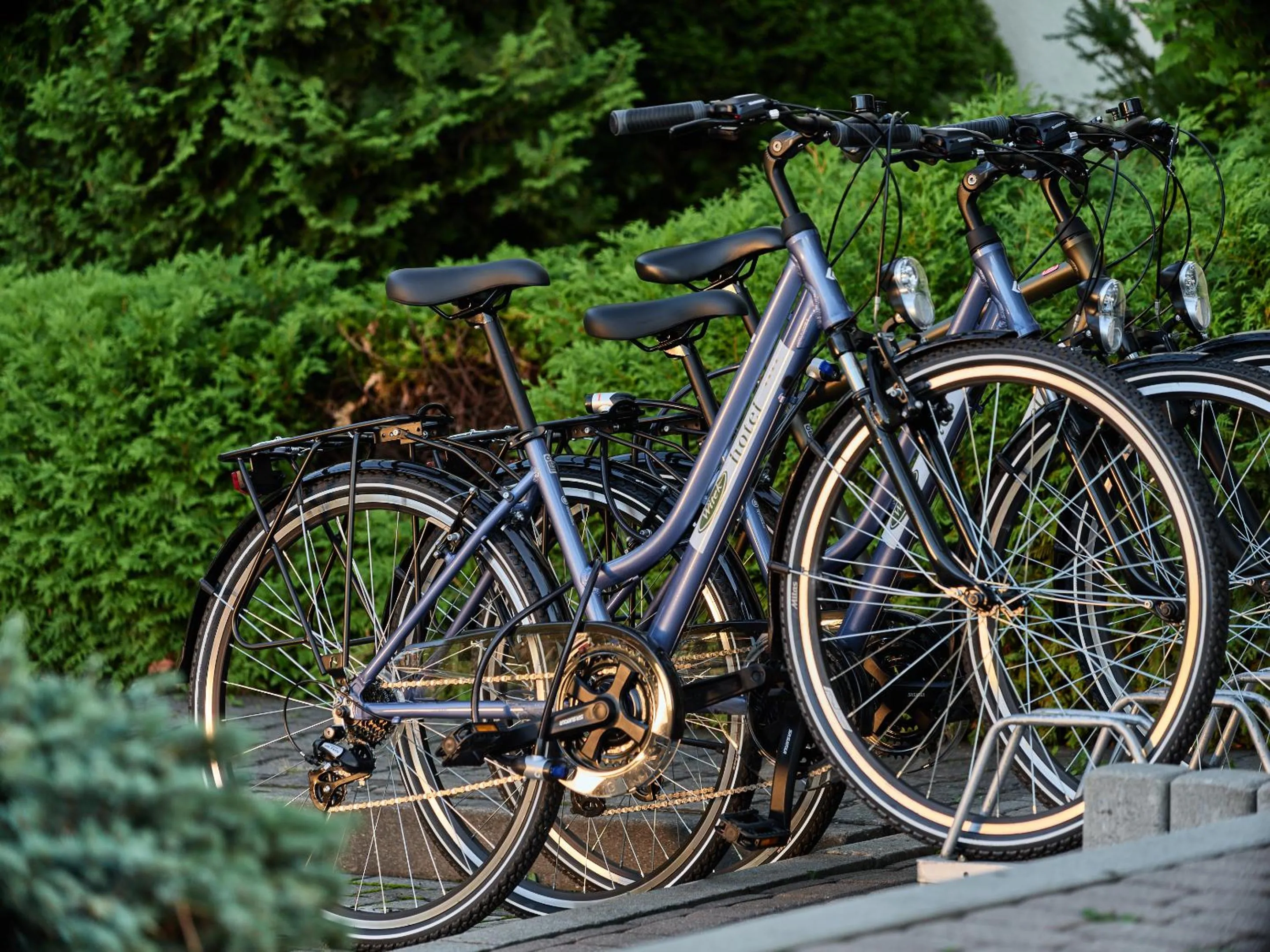 Activities in Hotel Great Polonia Kraków Airport