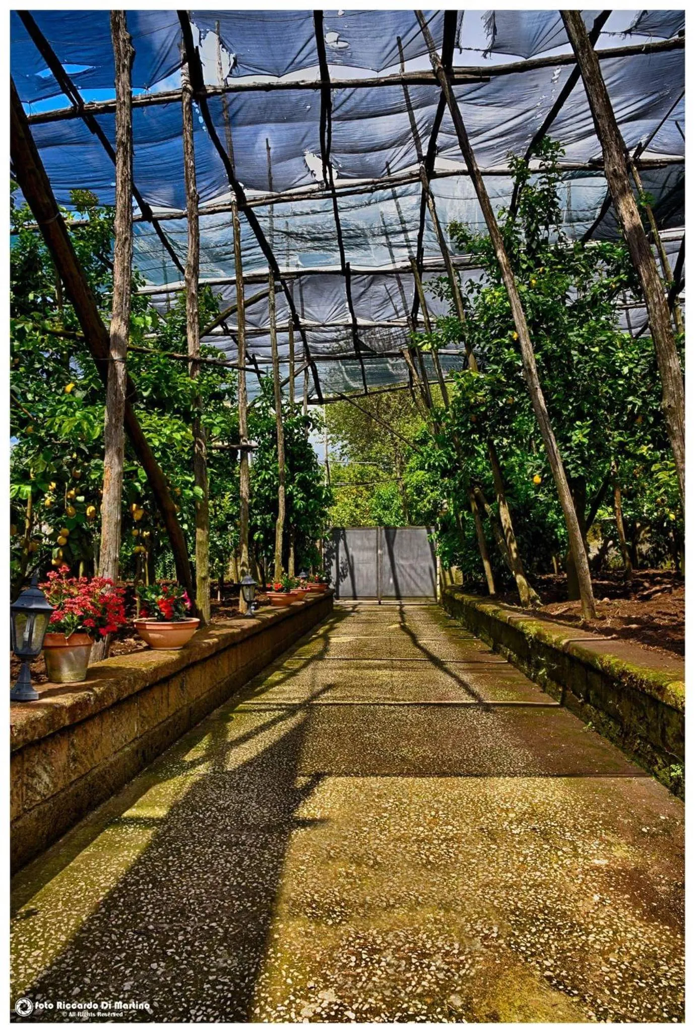 Property building in Sosò