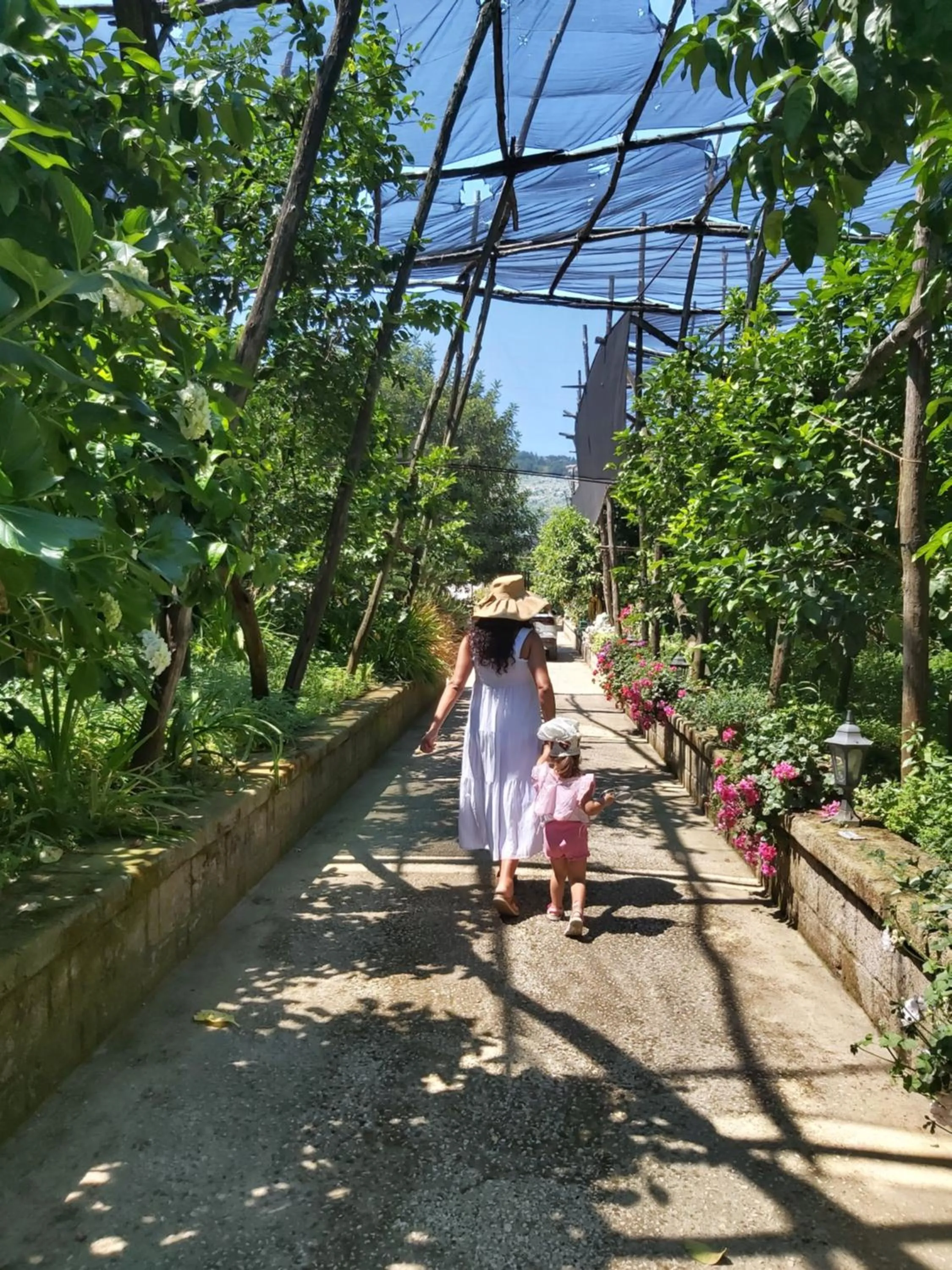 Property building in Sosò