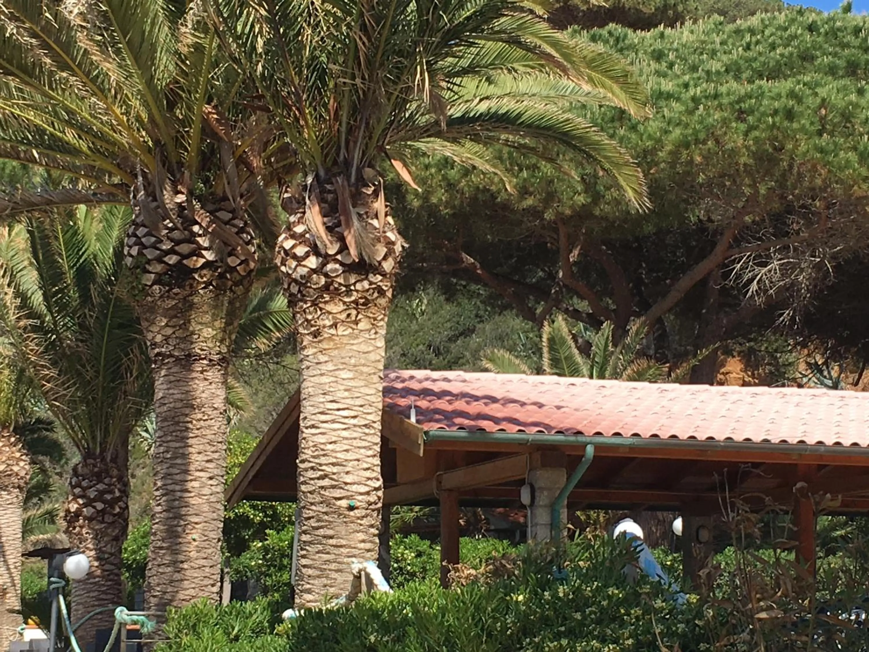 Restaurant/places to eat in Mandel Residence by Mandel Club