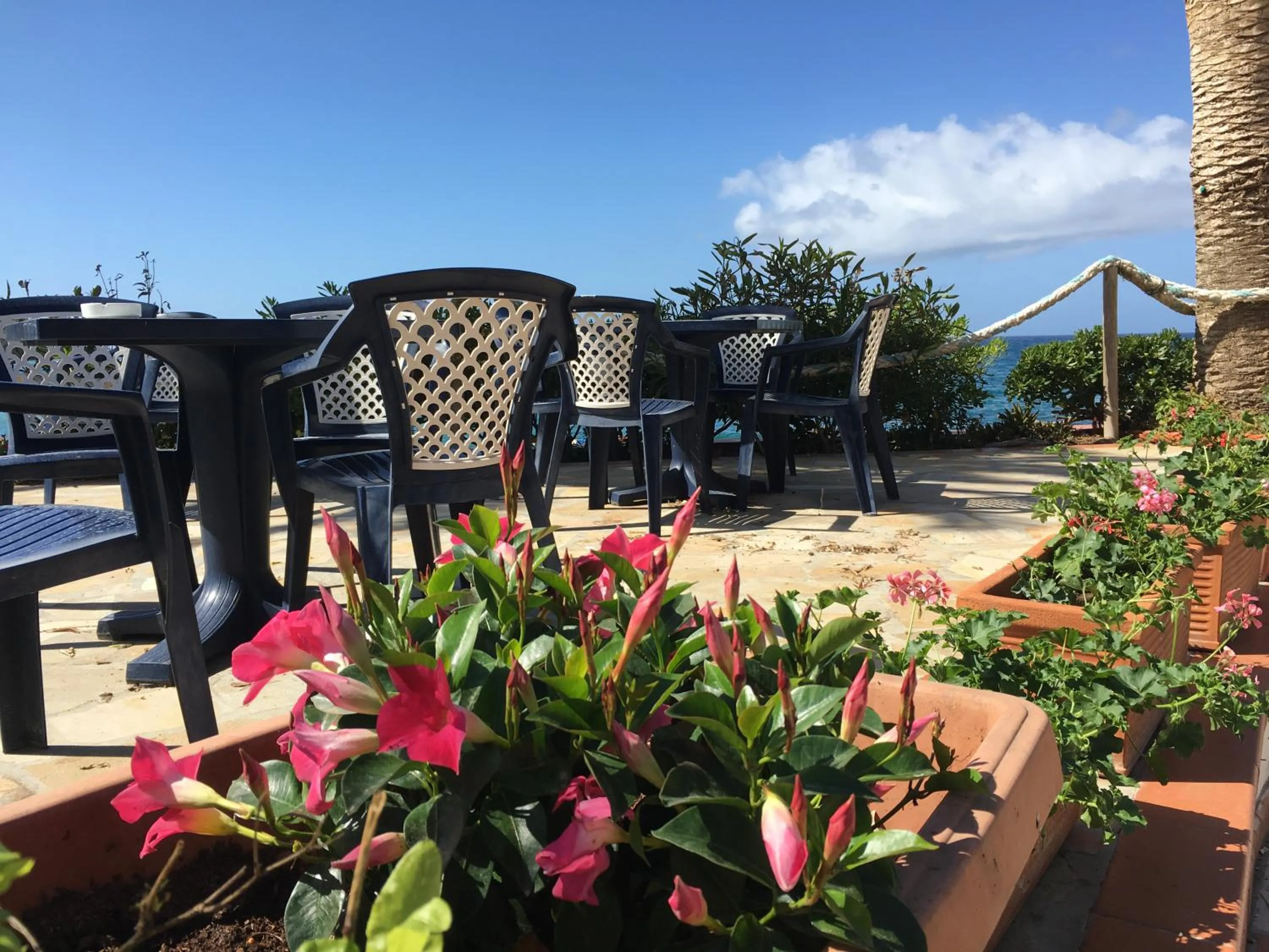 Restaurant/places to eat in Mandel Residence by Mandel Club