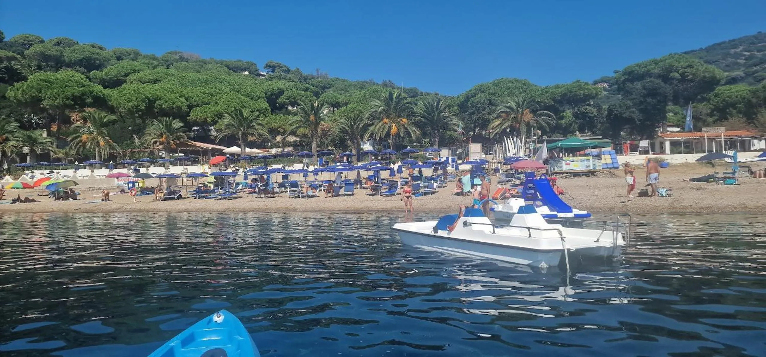 Property building in Mandel Residence by Mandel Club