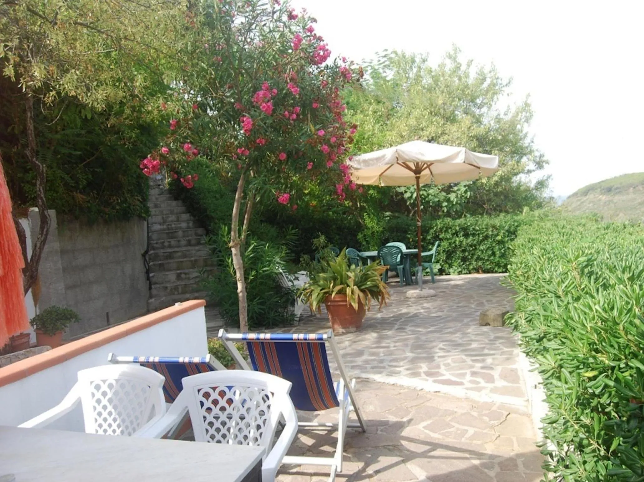 Garden in Mandel Residence by Mandel Club