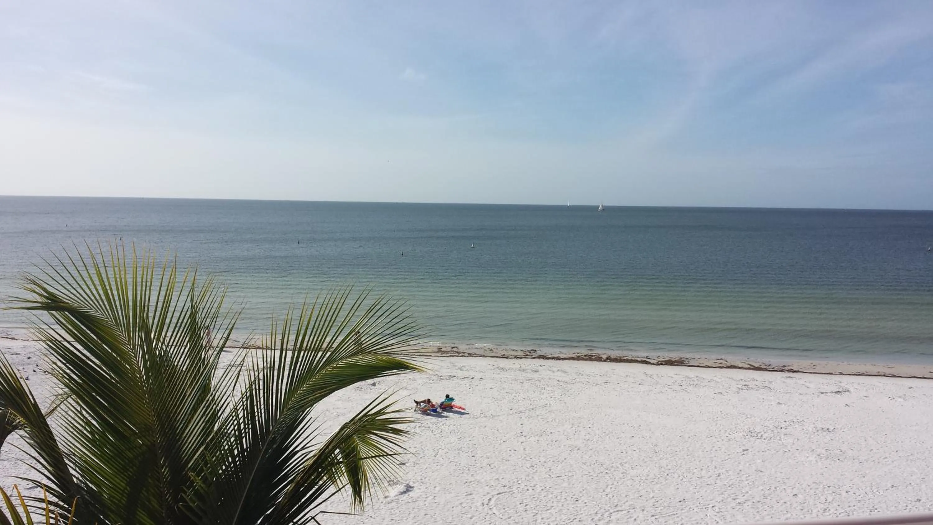 Property building in Edison Beach House
