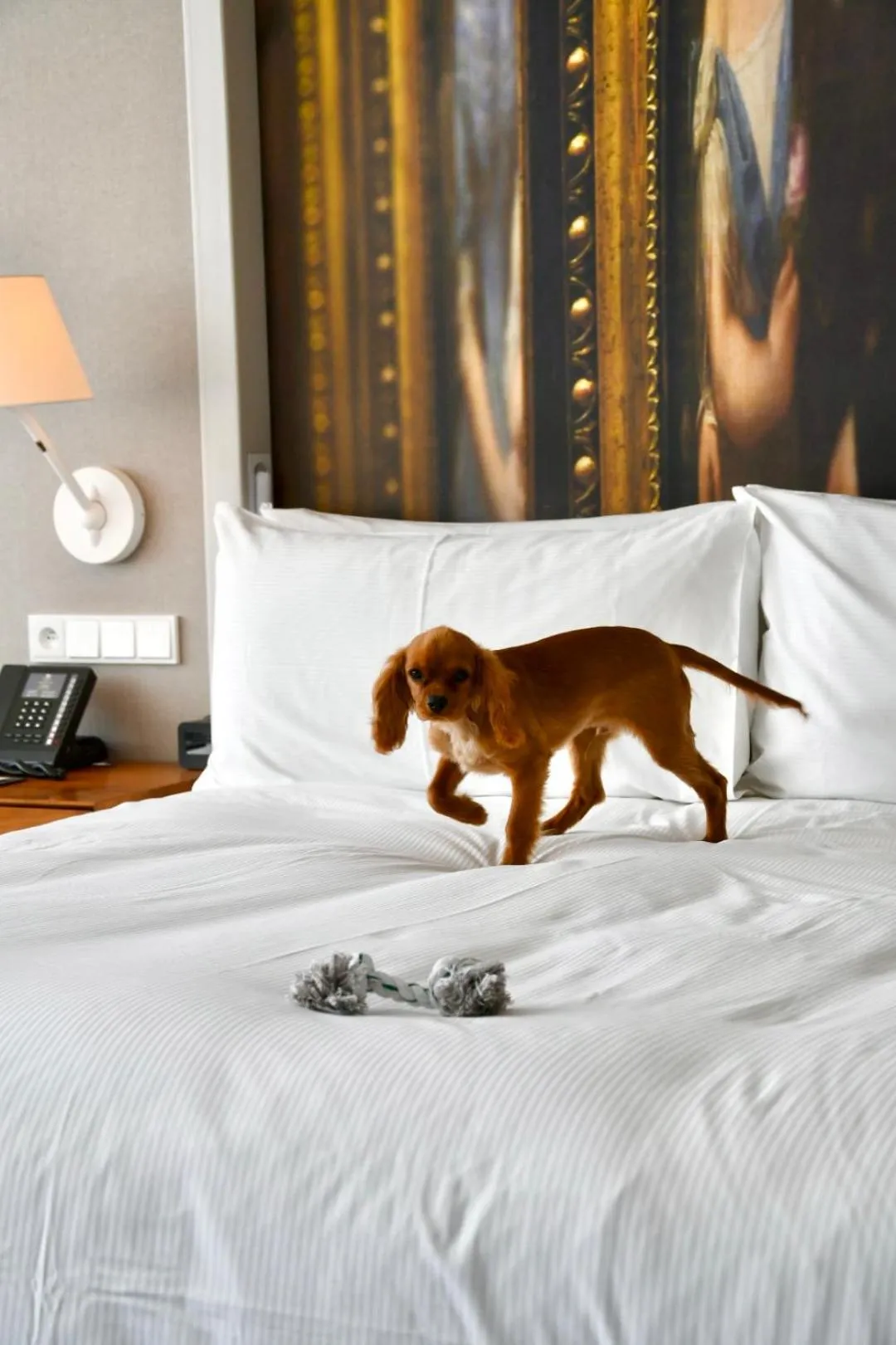 Bed in DoubleTree by Hilton Wroclaw