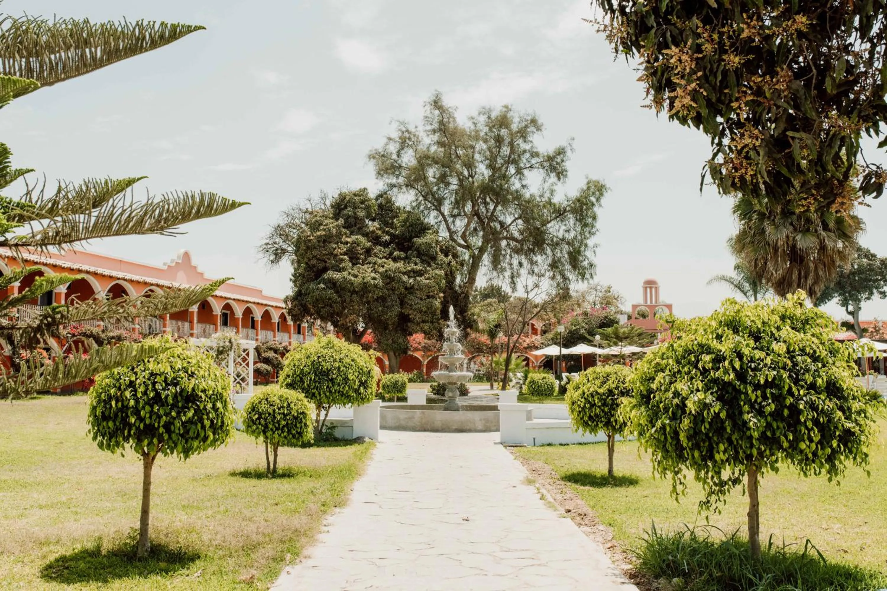 Garden in Hacienda San Juan Resort