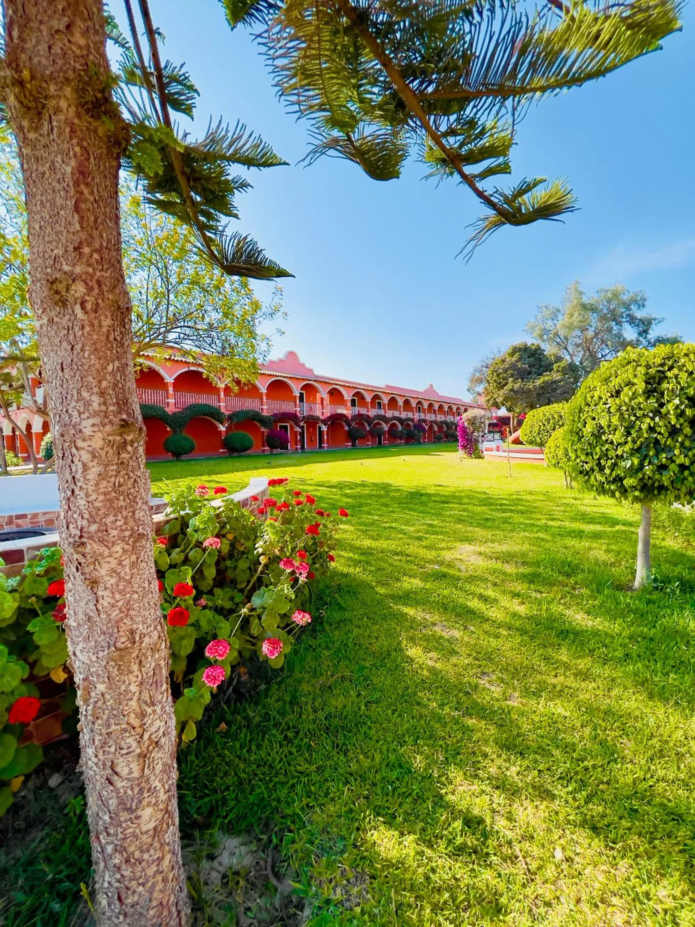 Garden in Hacienda San Juan Resort
